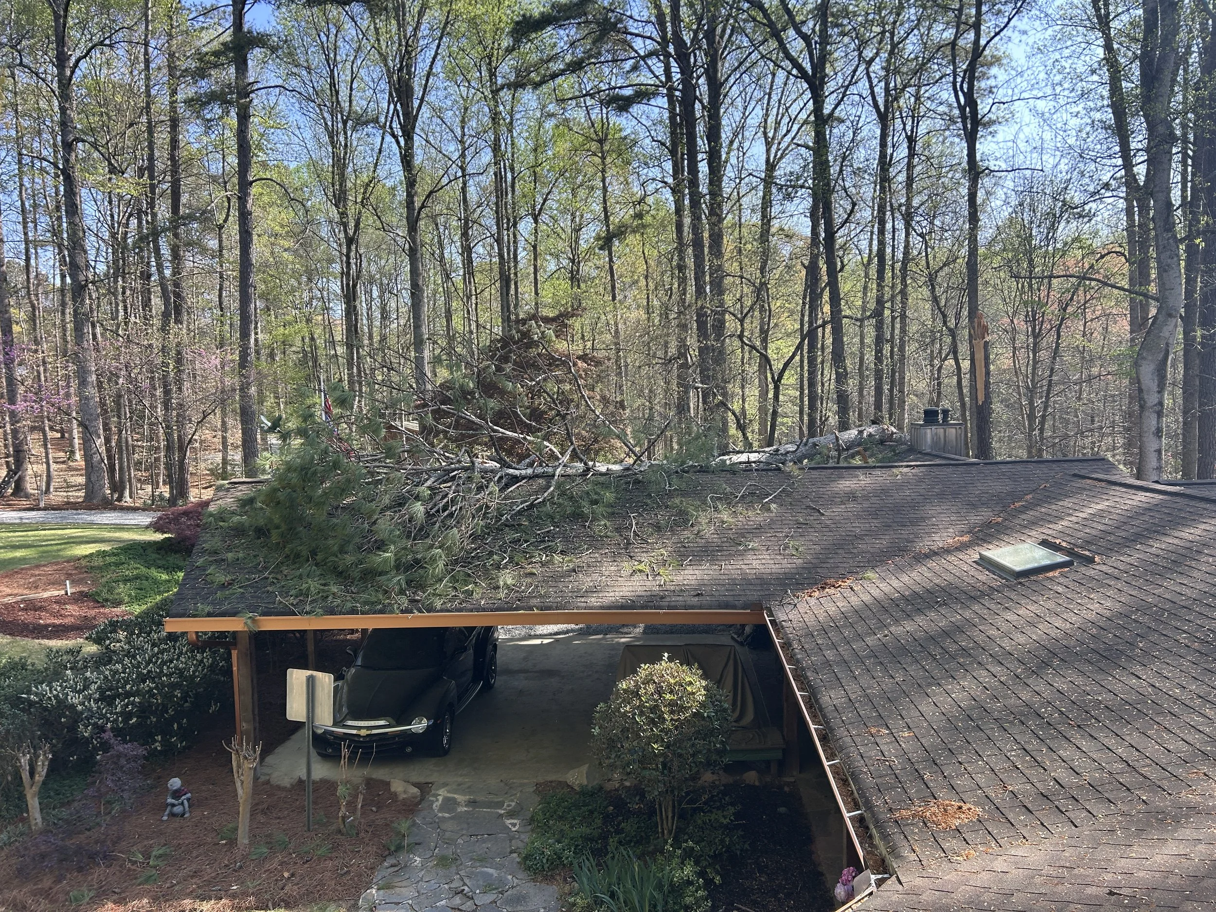Repair and restore home after extensive tree damage.  (Before).  