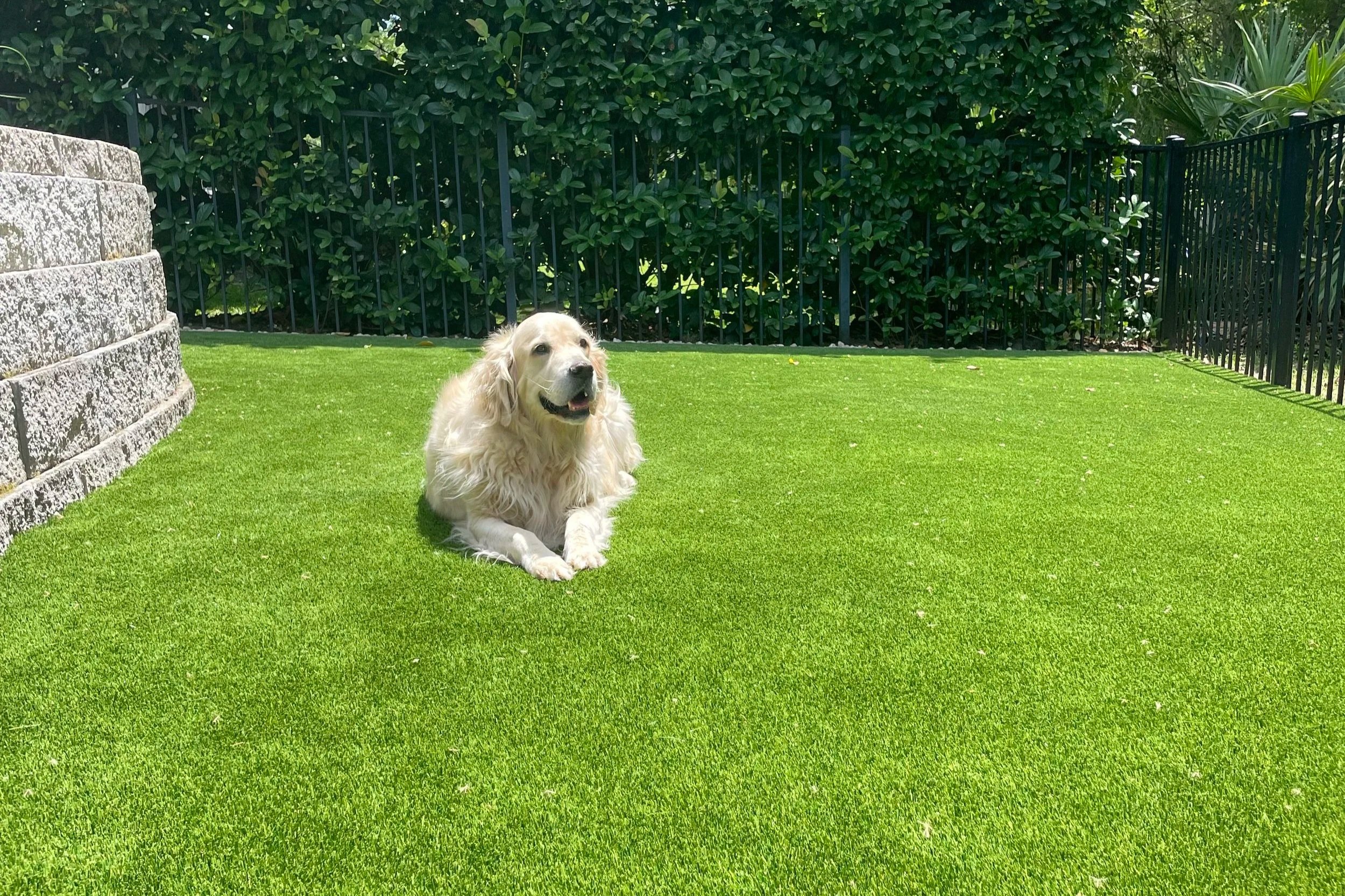 The Ultimate Guide to Pet-Friendly Artificial Turf in Jacksonville: Safe, Cool &amp; Odor-Free