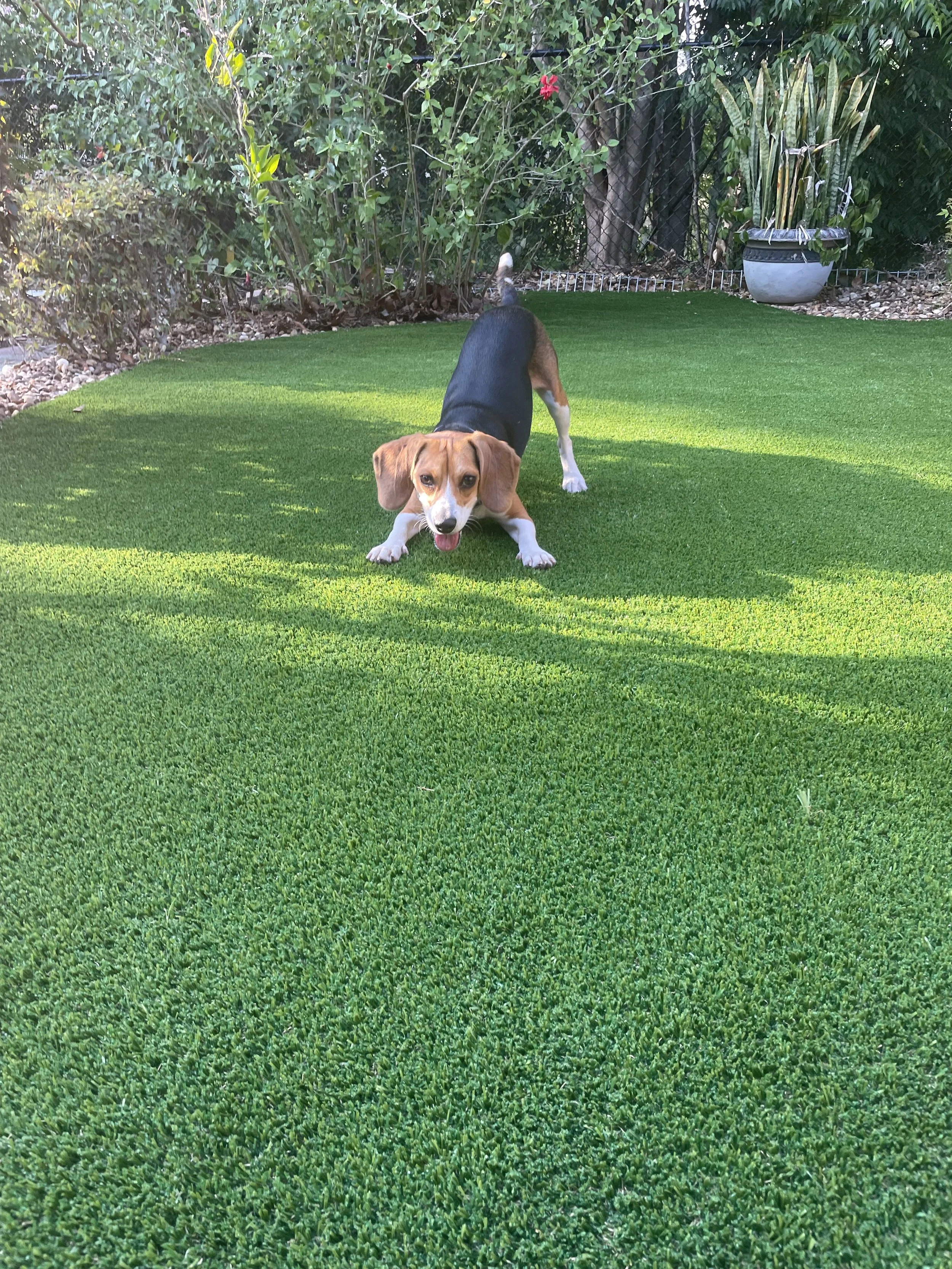 Does Artificial Turf Get Too Hot in Jacksonville? The Honest Answer (And What We Actually Do About It)