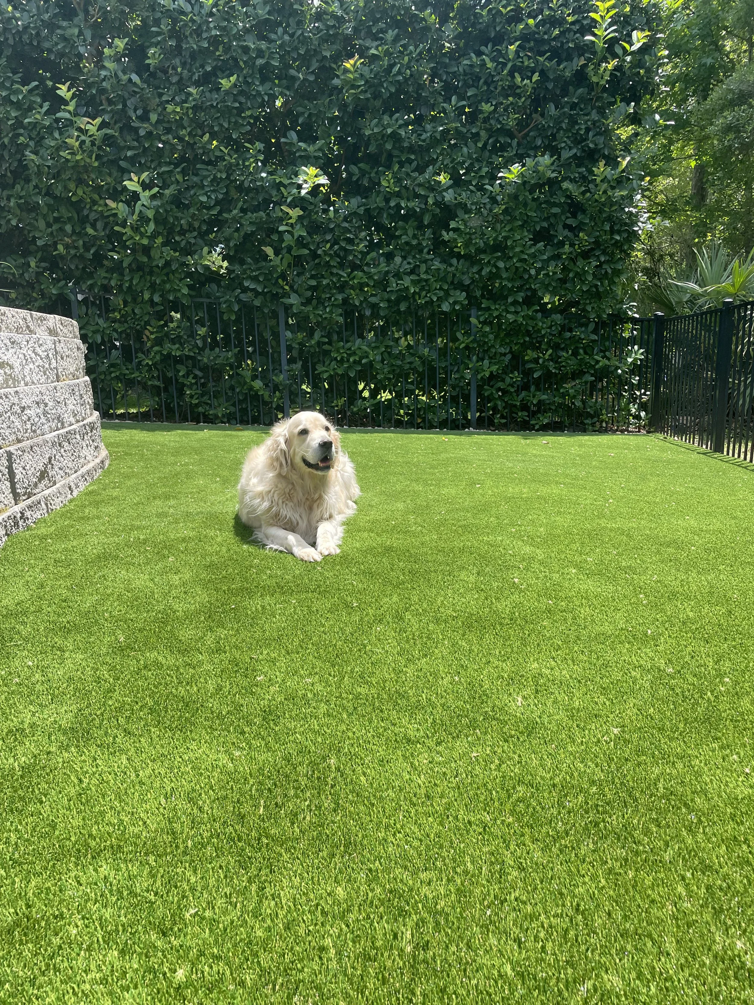 The Ultimate Guide to Pet-Friendly Artificial Turf in Jacksonville: Safe, Cool &amp; Odor-Free