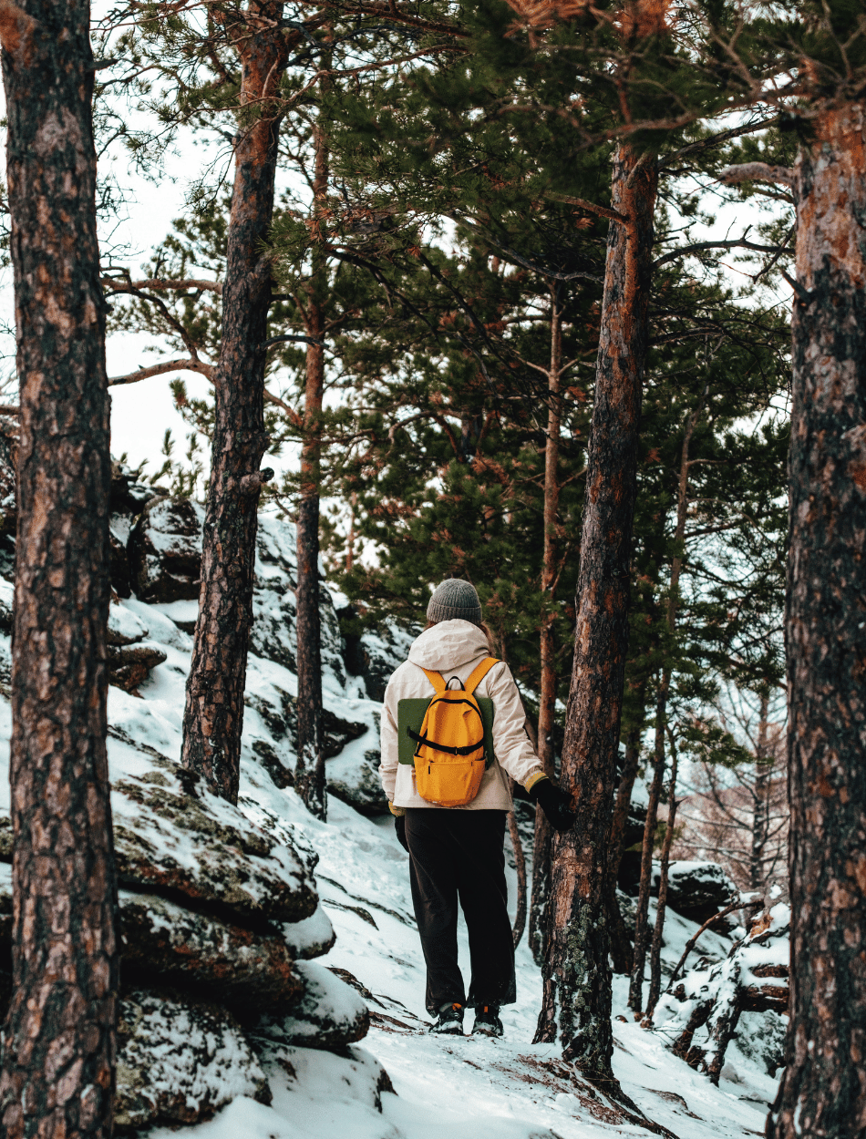 how much does therapy cost in colorado