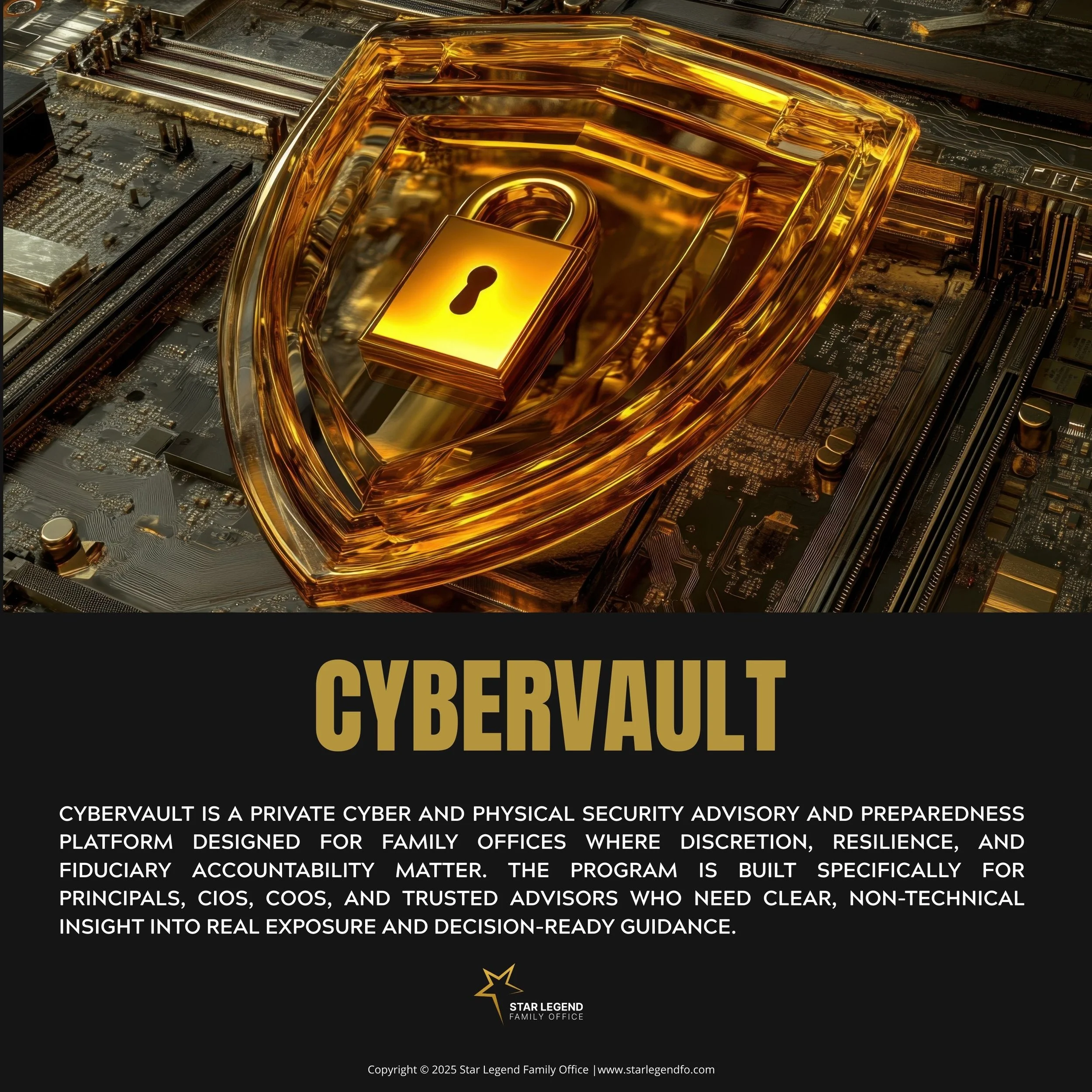 CyberVault