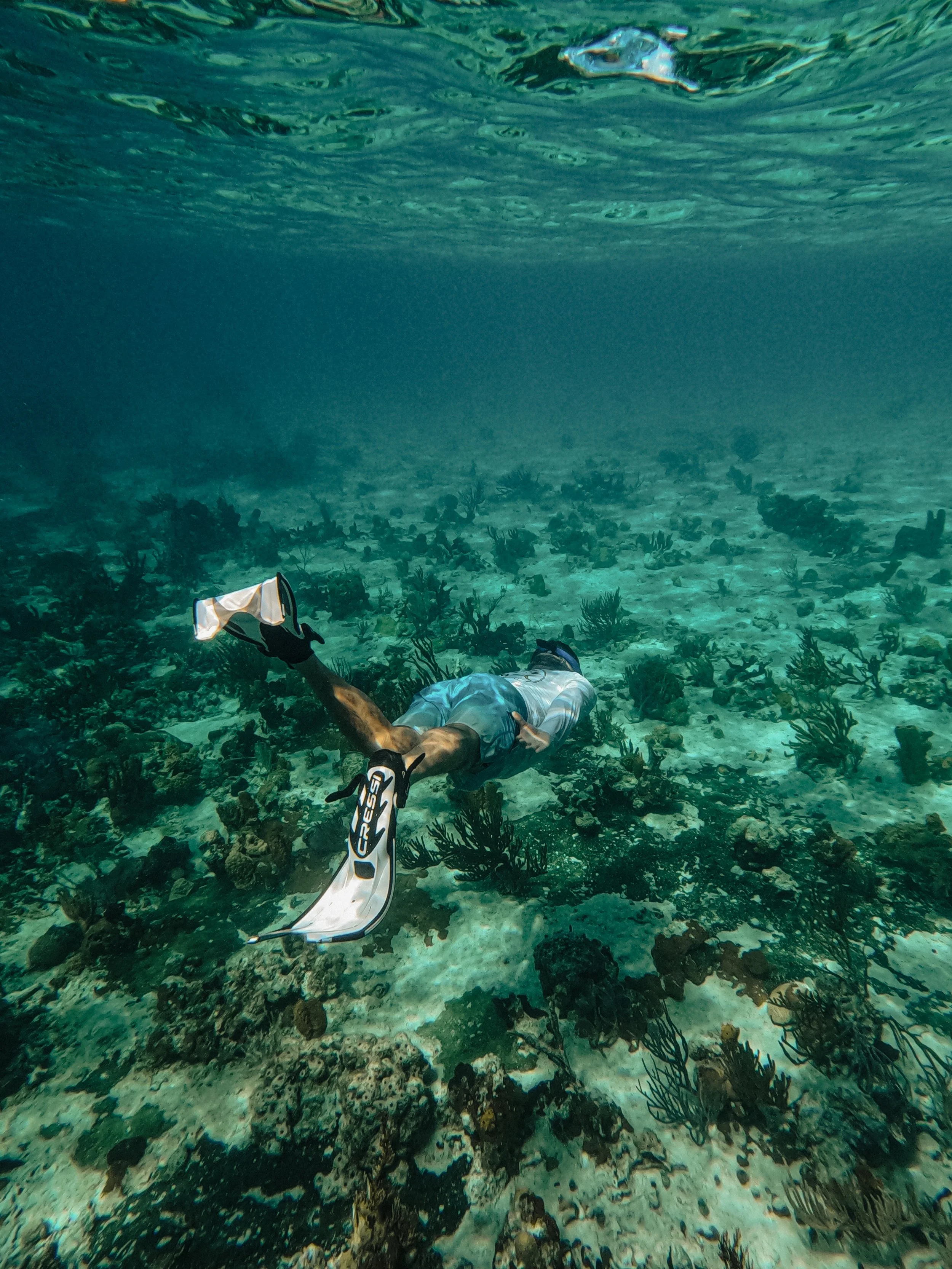 NADIYA-VZalm-07 2.JPG