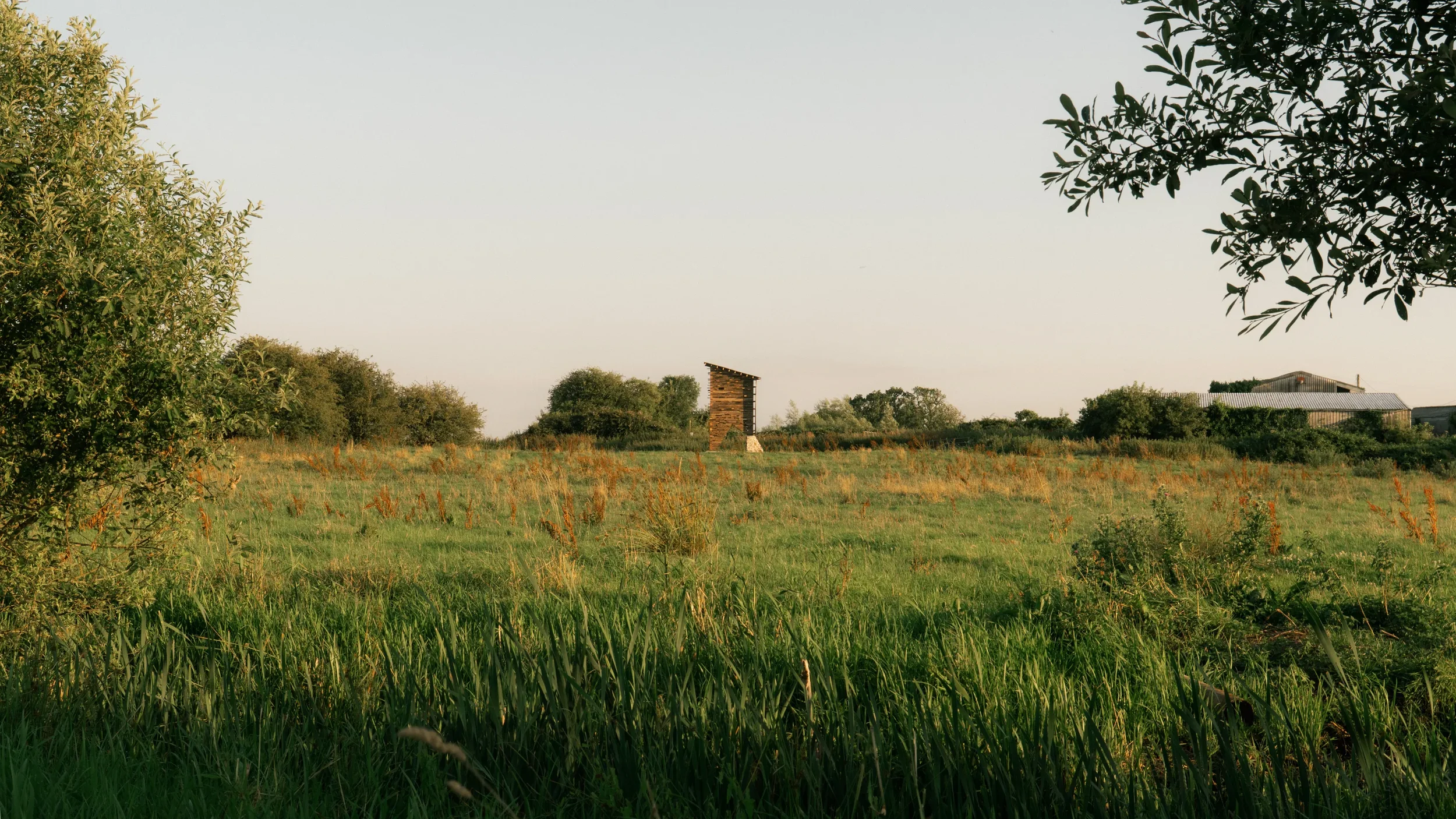 Somerset Wildlife Tower-4.webp