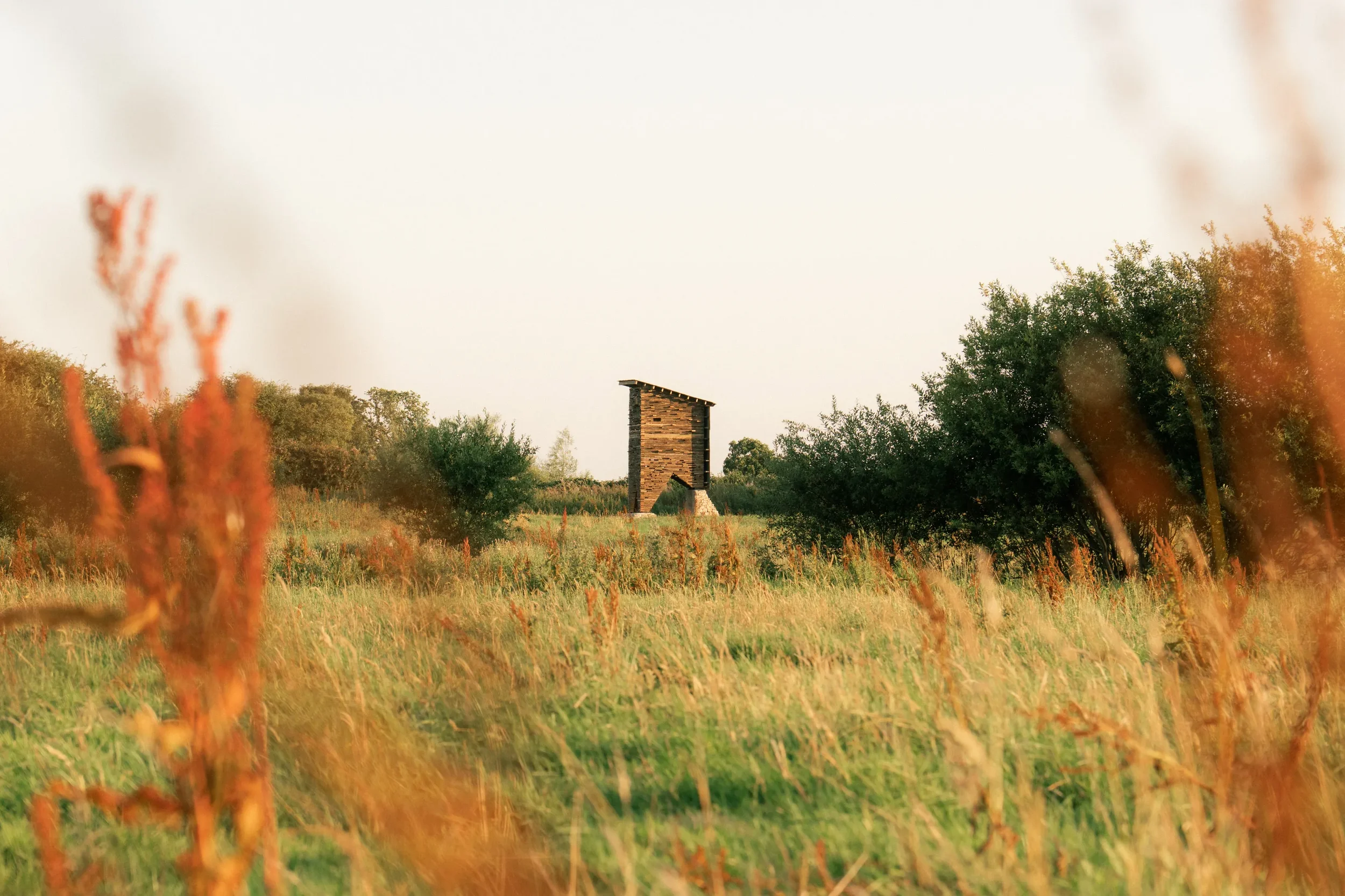 Somerset Wildlife Tower-8.webp