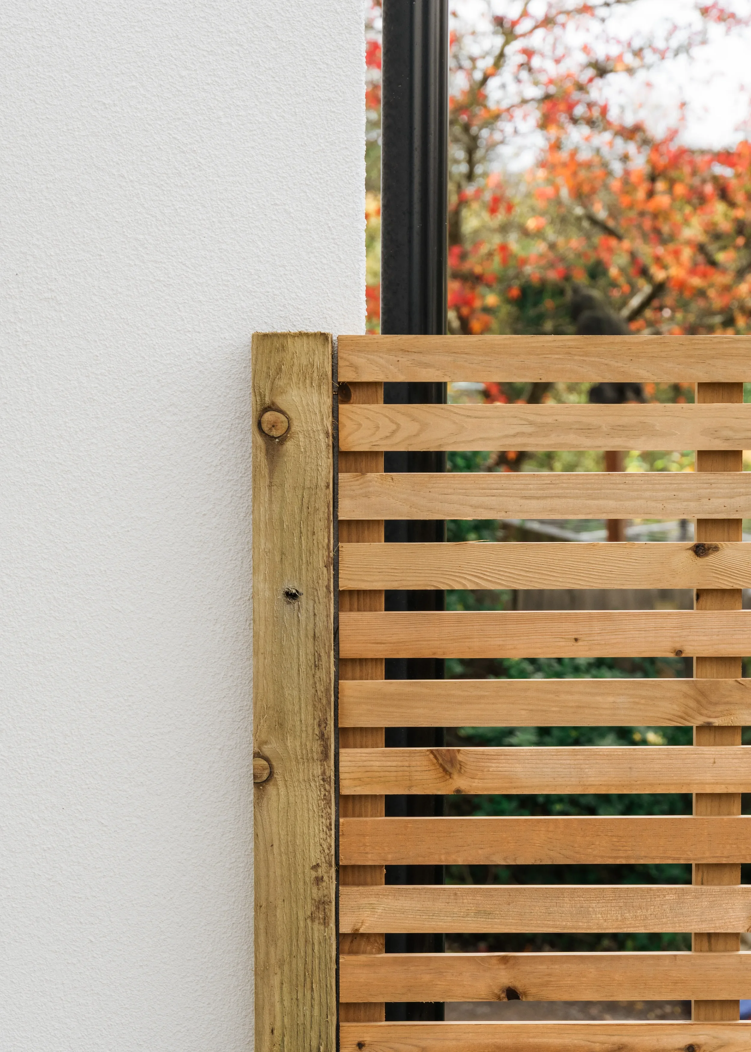 Stoke Lane Extension 08.webp