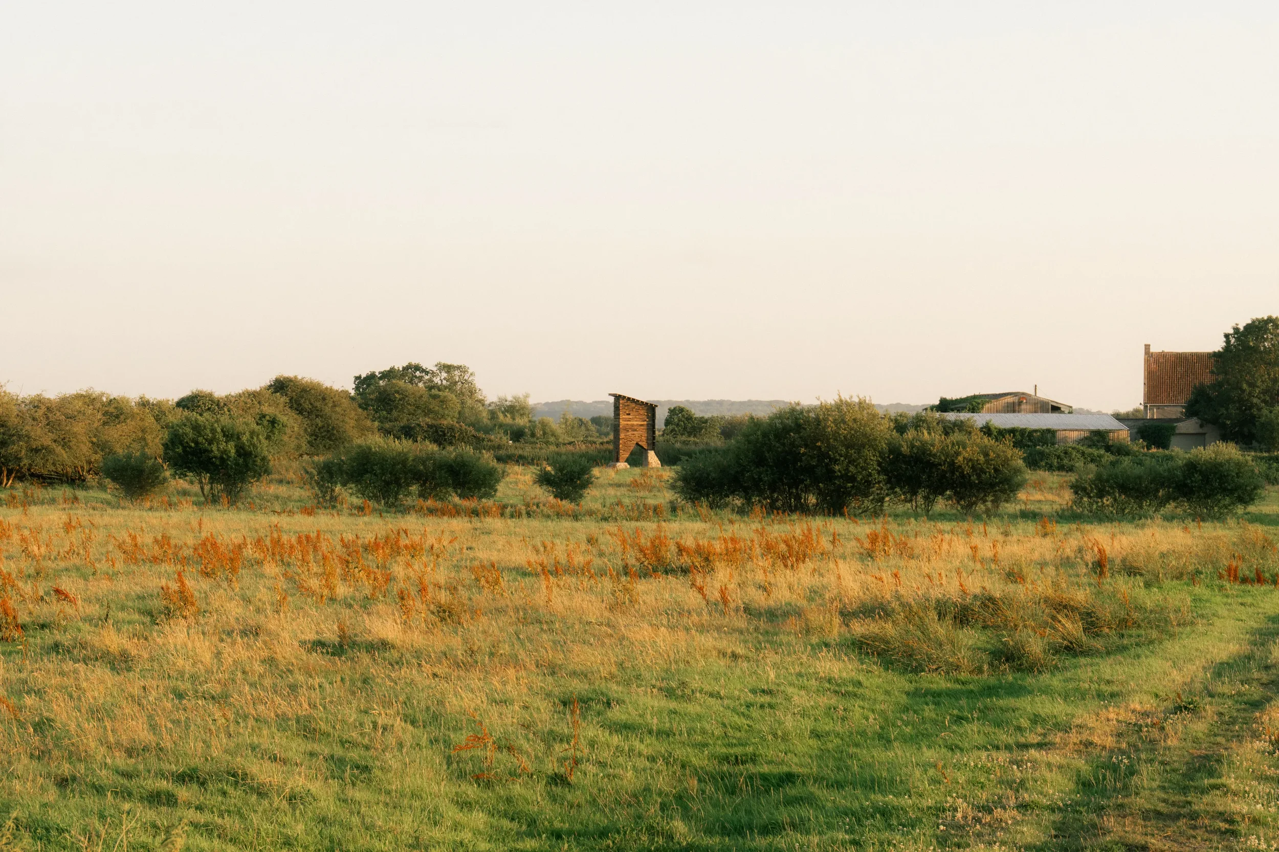 Somerset Wildlife Tower-9.webp