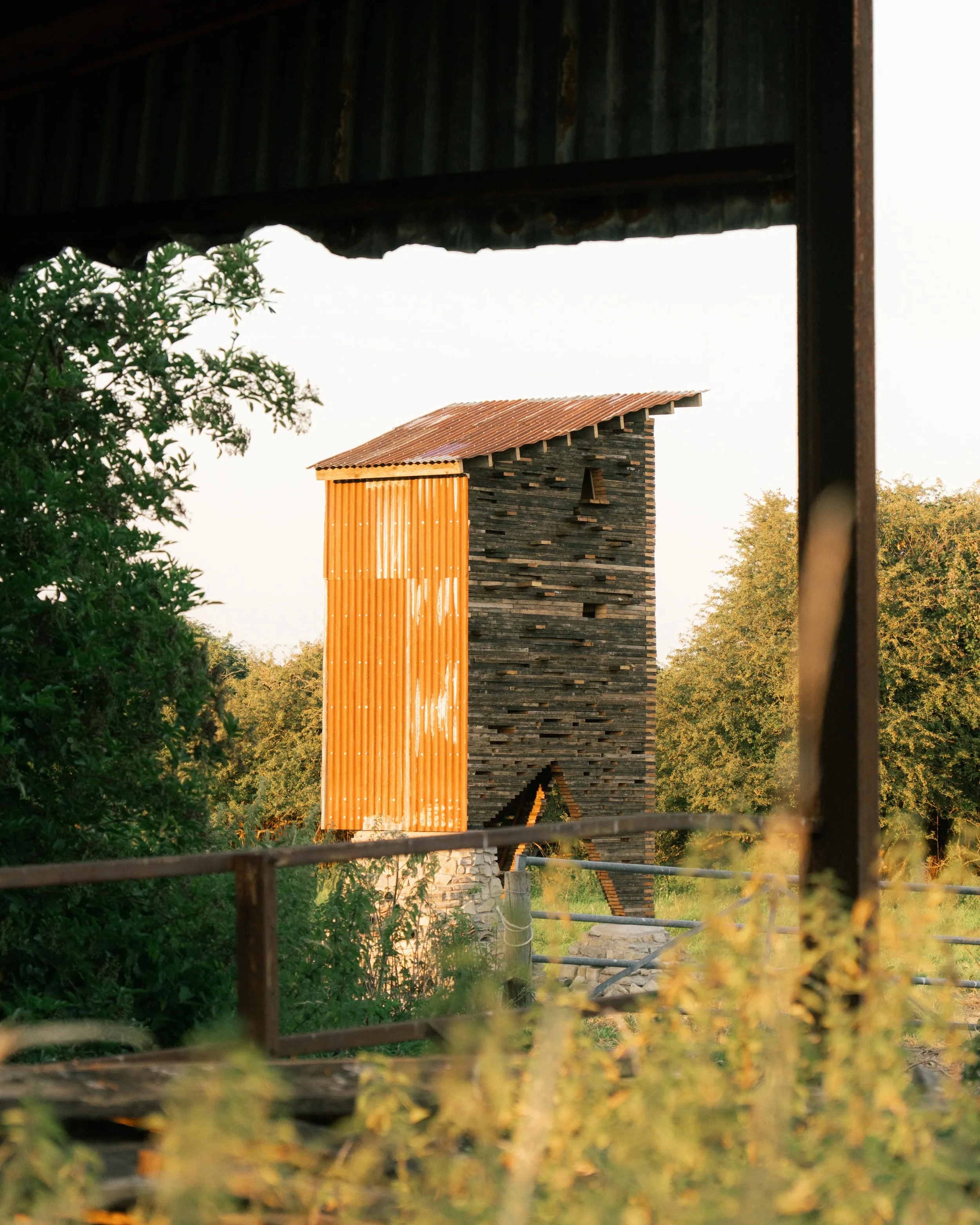 Somerset Wildlife Tower-10.webp