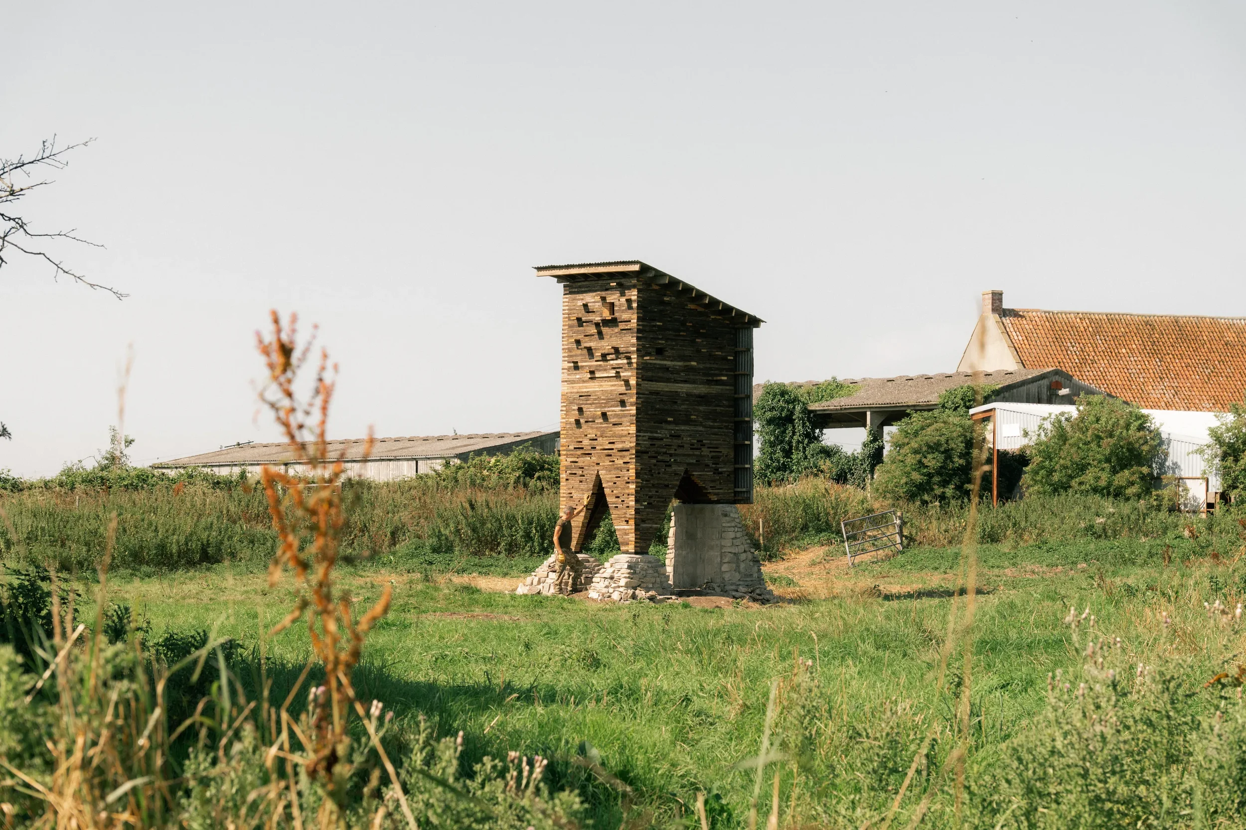 Somerset Wildlife Tower-25.webp