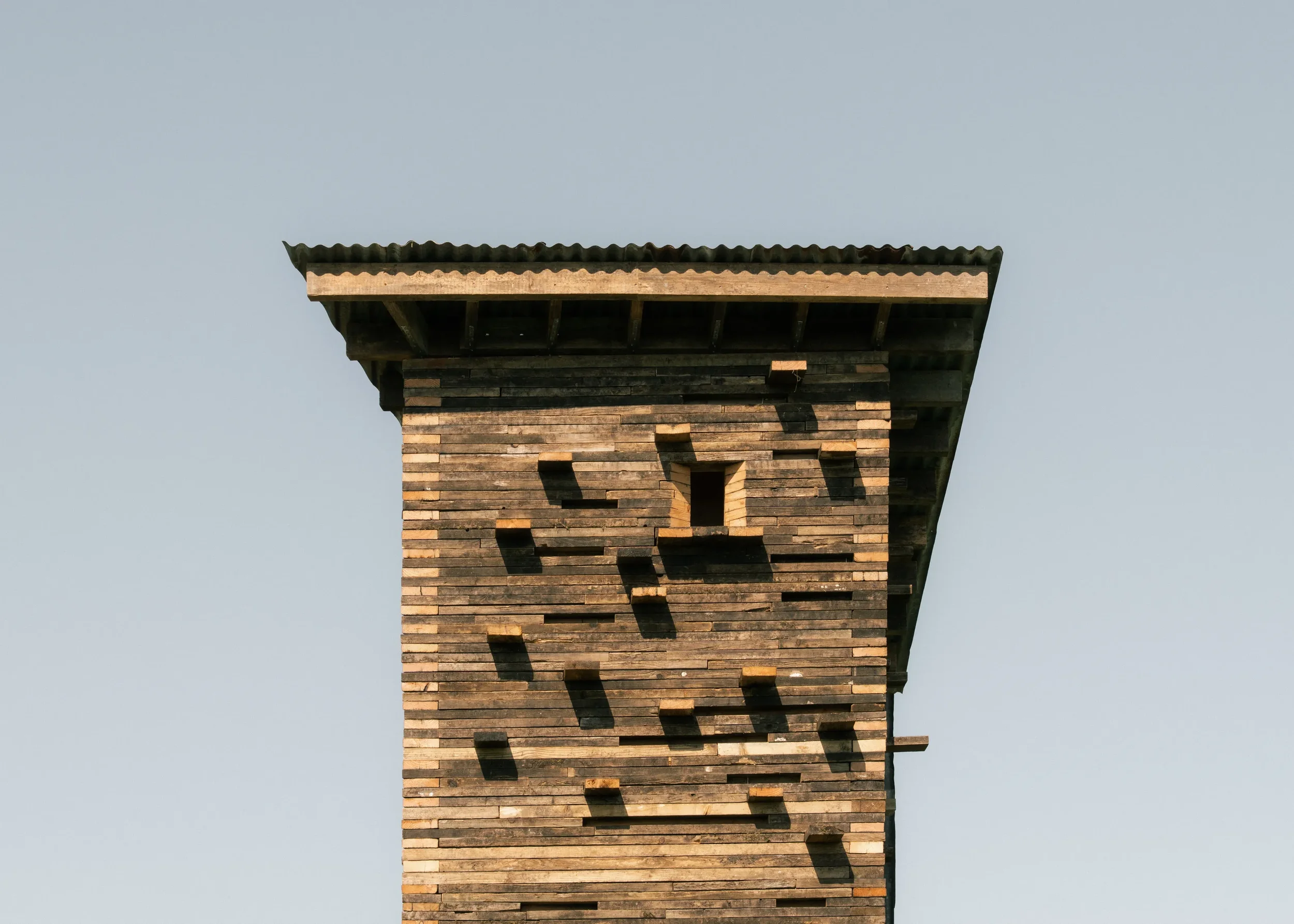 Somerset Wildlife Tower-21.webp