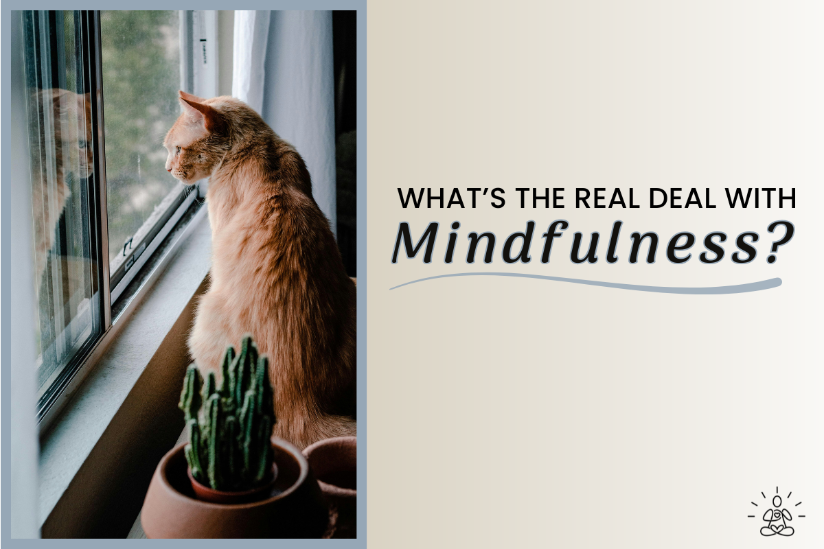 What's the Real Deal with Mindfulness?