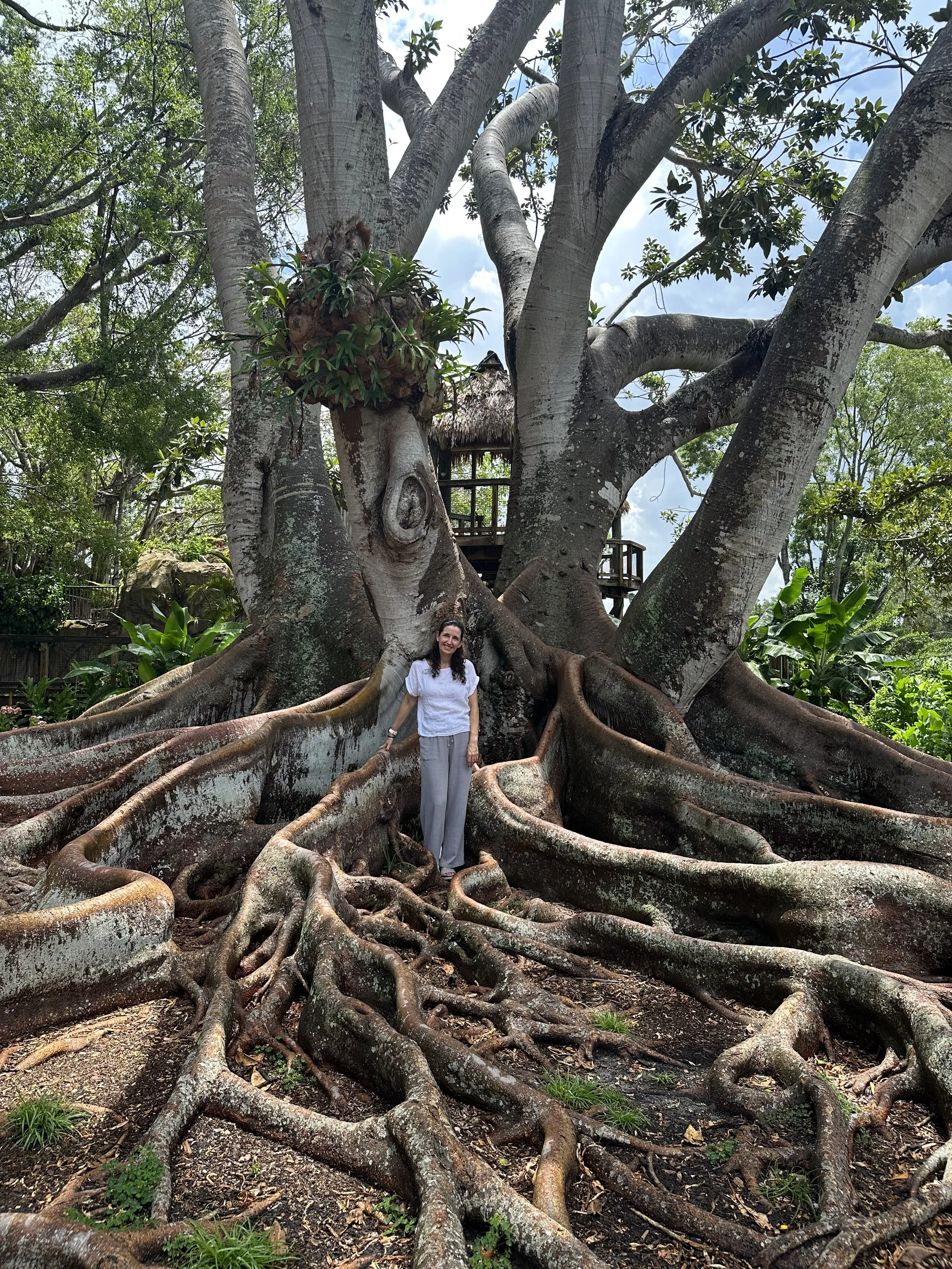 Maria Perdomo-Torres, Latina therapist, standing among the roots of a giant tree in Florida, symbolizing deep cultural roots and connection.