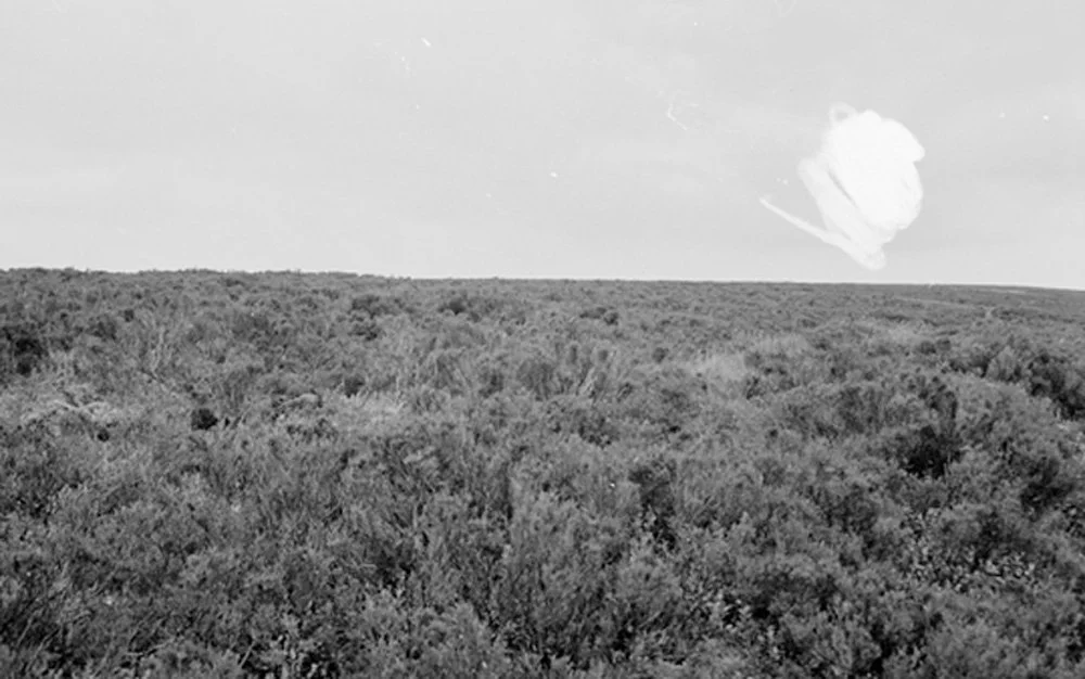 Mark in the sky75cm.jpg