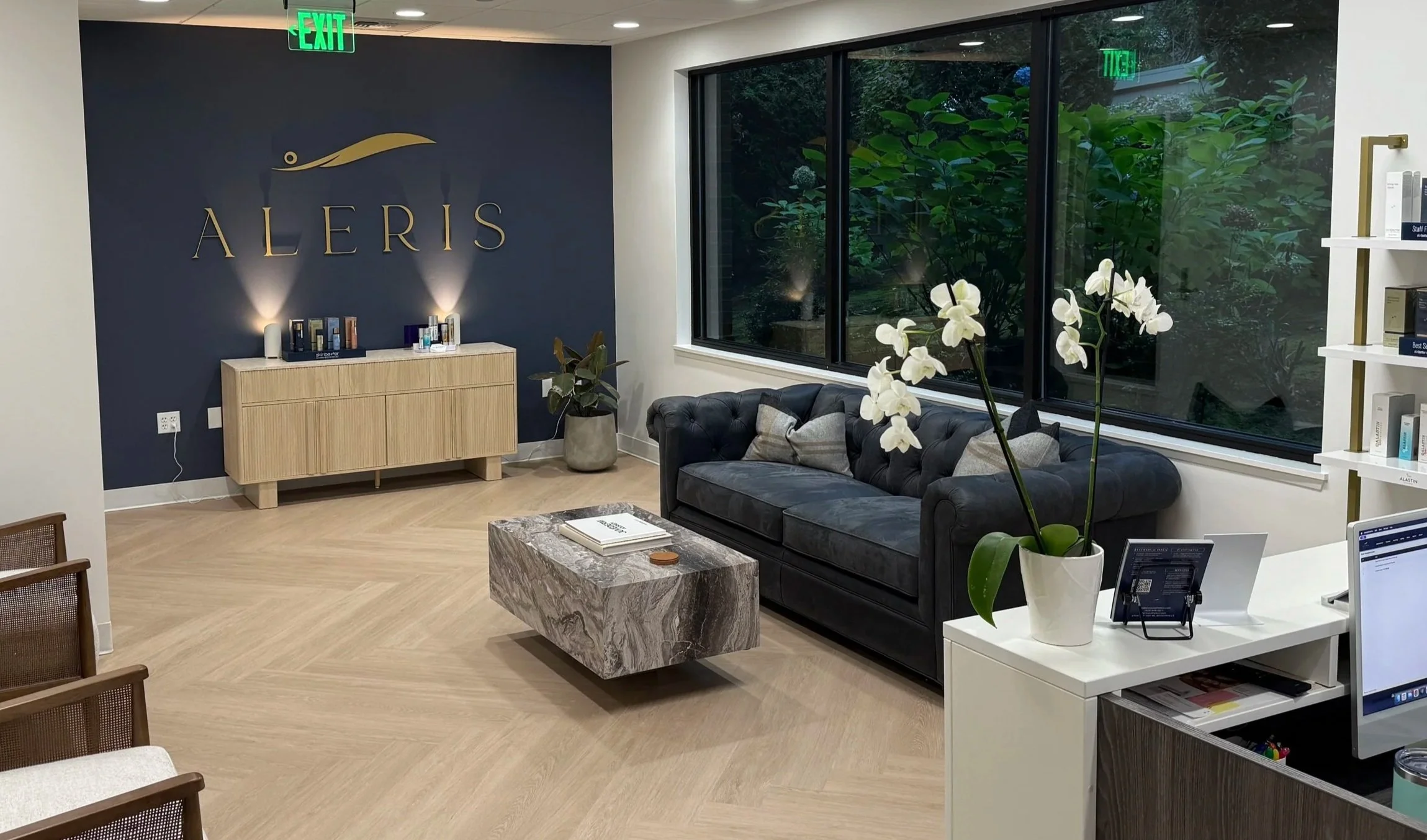 Interior view of an office with a dark blue wall displaying the logo 'ALERIS' with a gold swoosh above it, a black tufted sofa with pillows, a marble coffee table, a large window with greenery outside, and a white shelf with books.