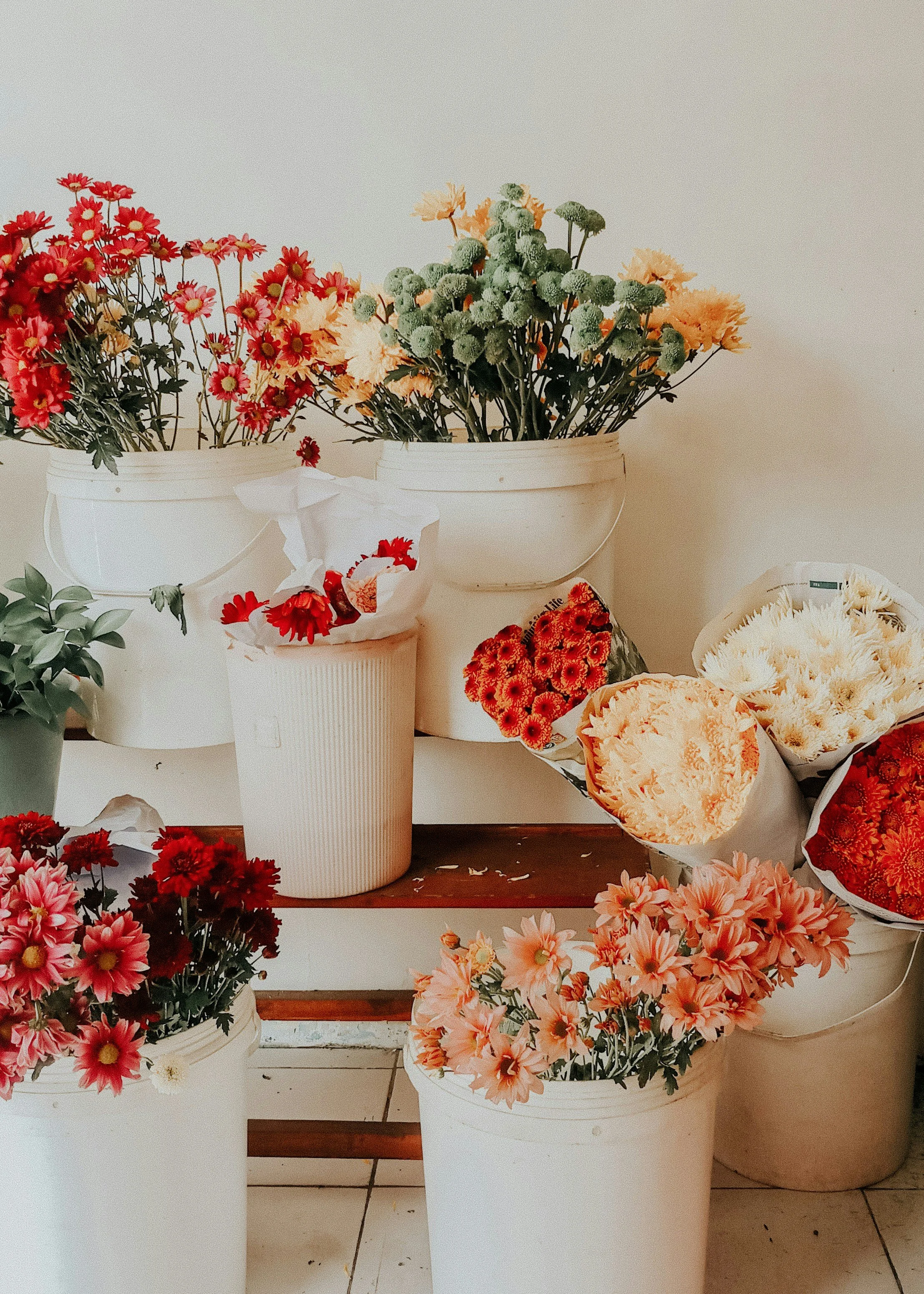 dyah-arum-XwLTGrtuMX0-unsplash.jpg
