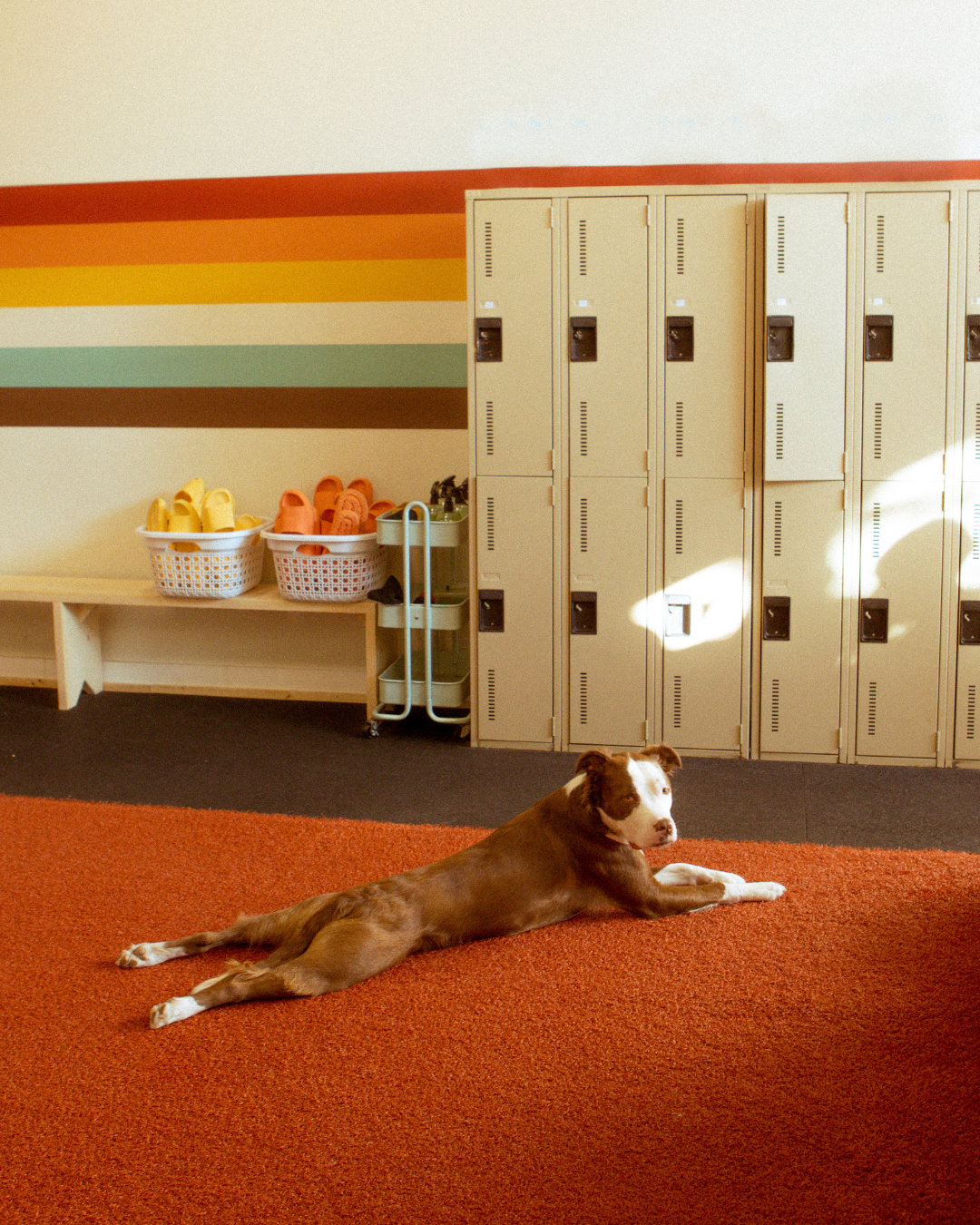 On Building Habits and Connecting the Dots