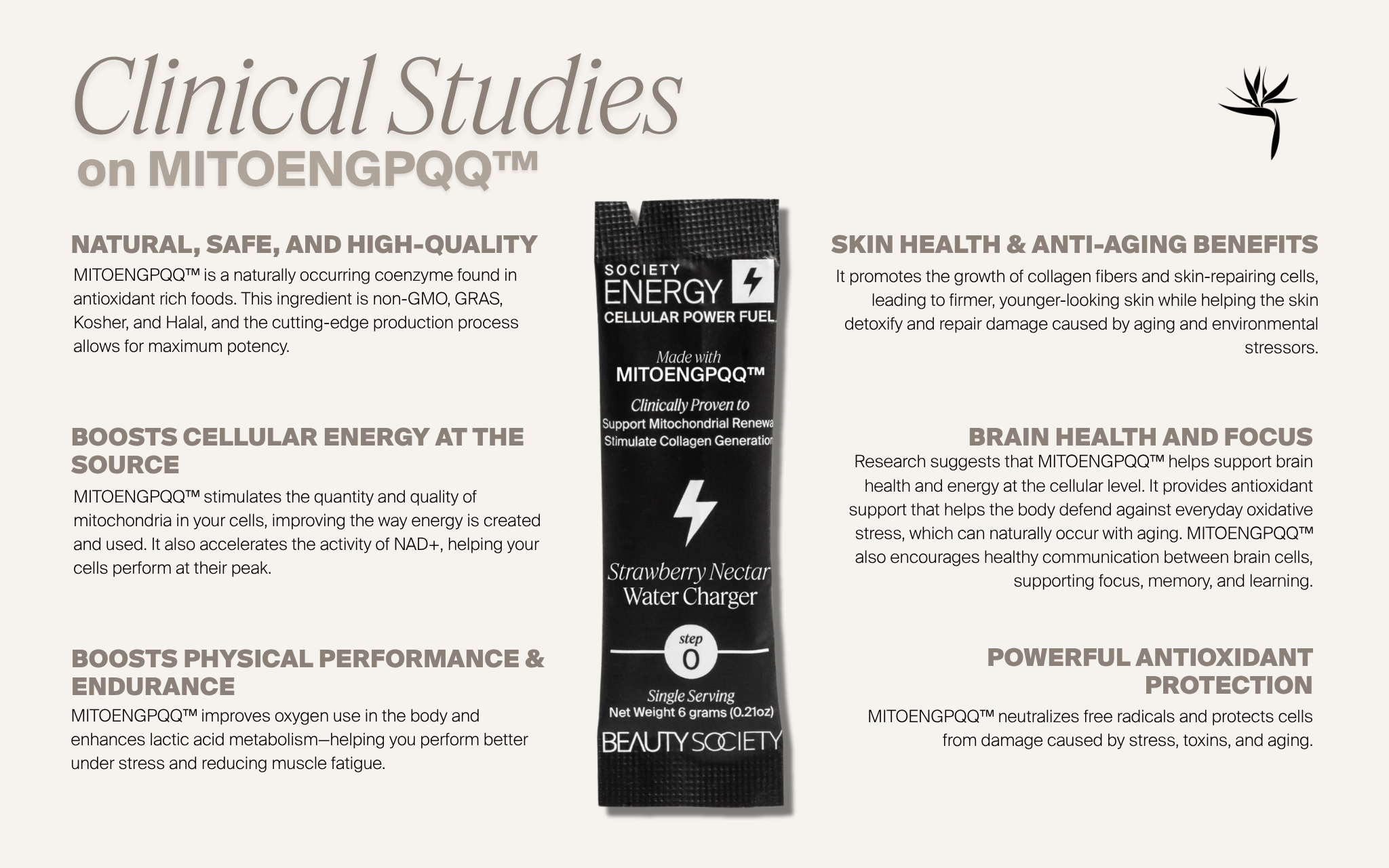 new_Energy_Clinicals_SKU (1).png