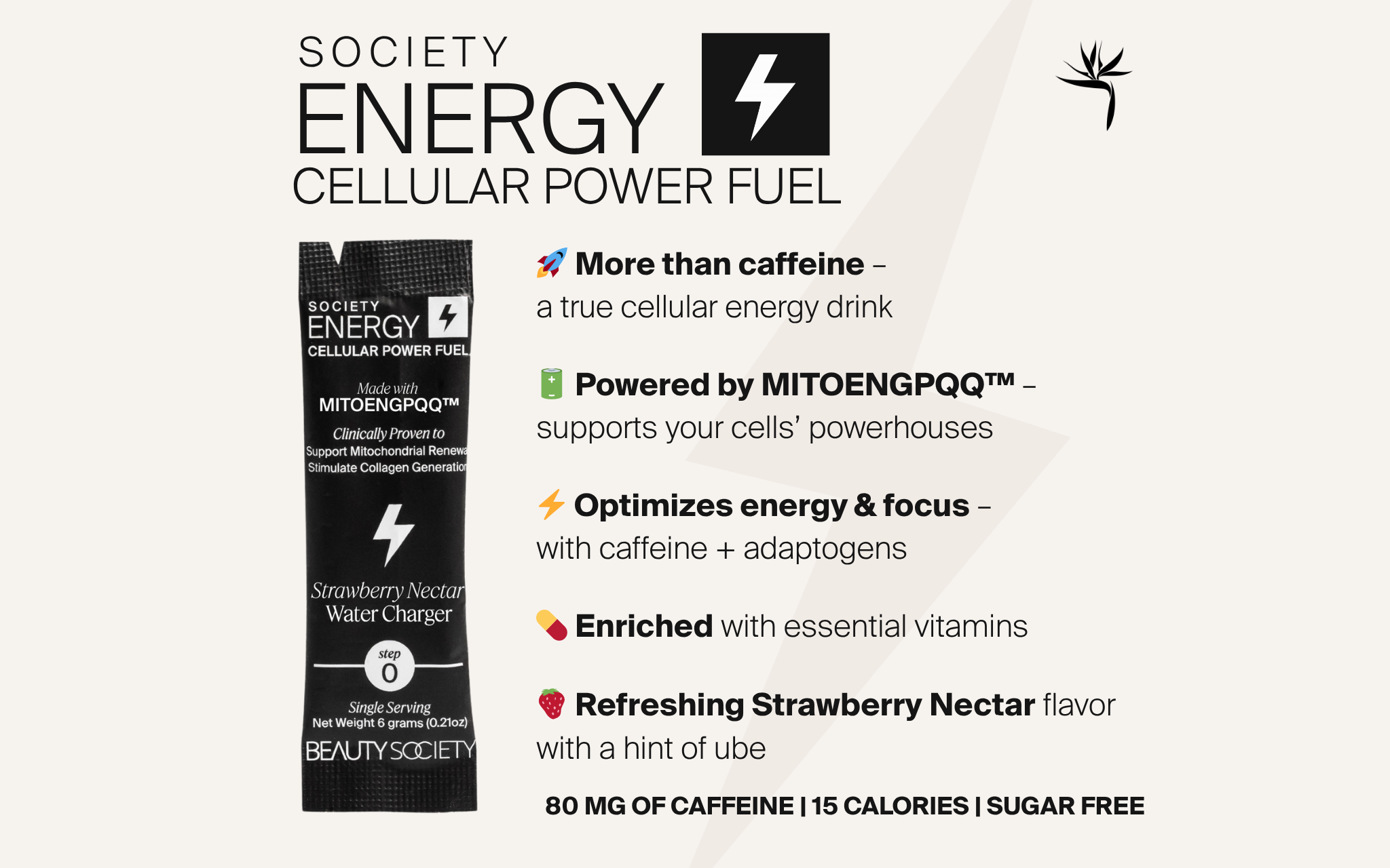 new_Energy_Highlights (1).png