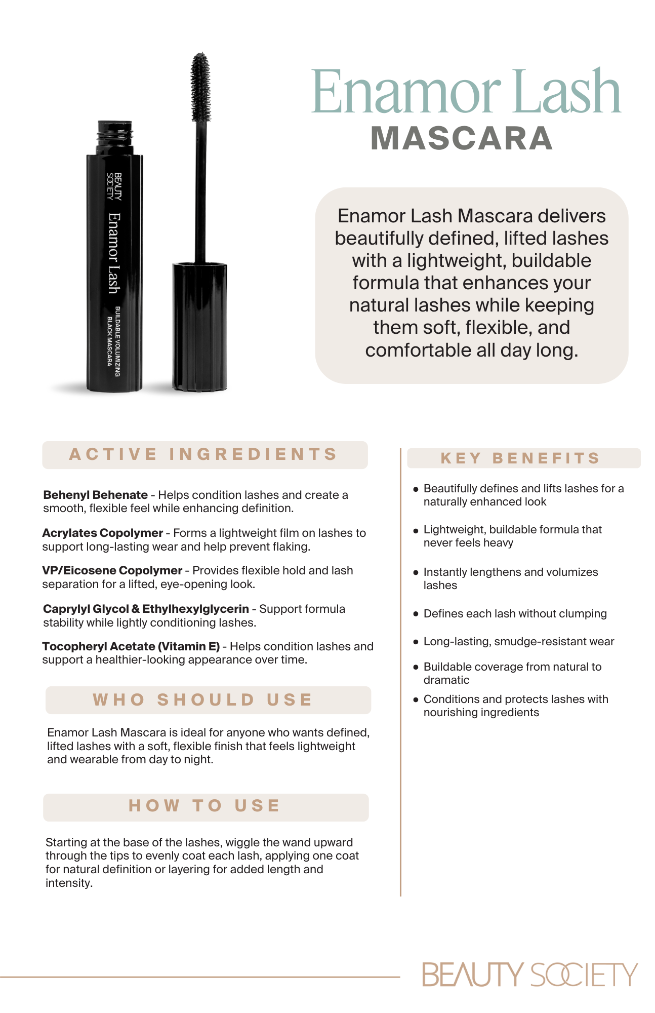 Enamor Lash PP (1).png