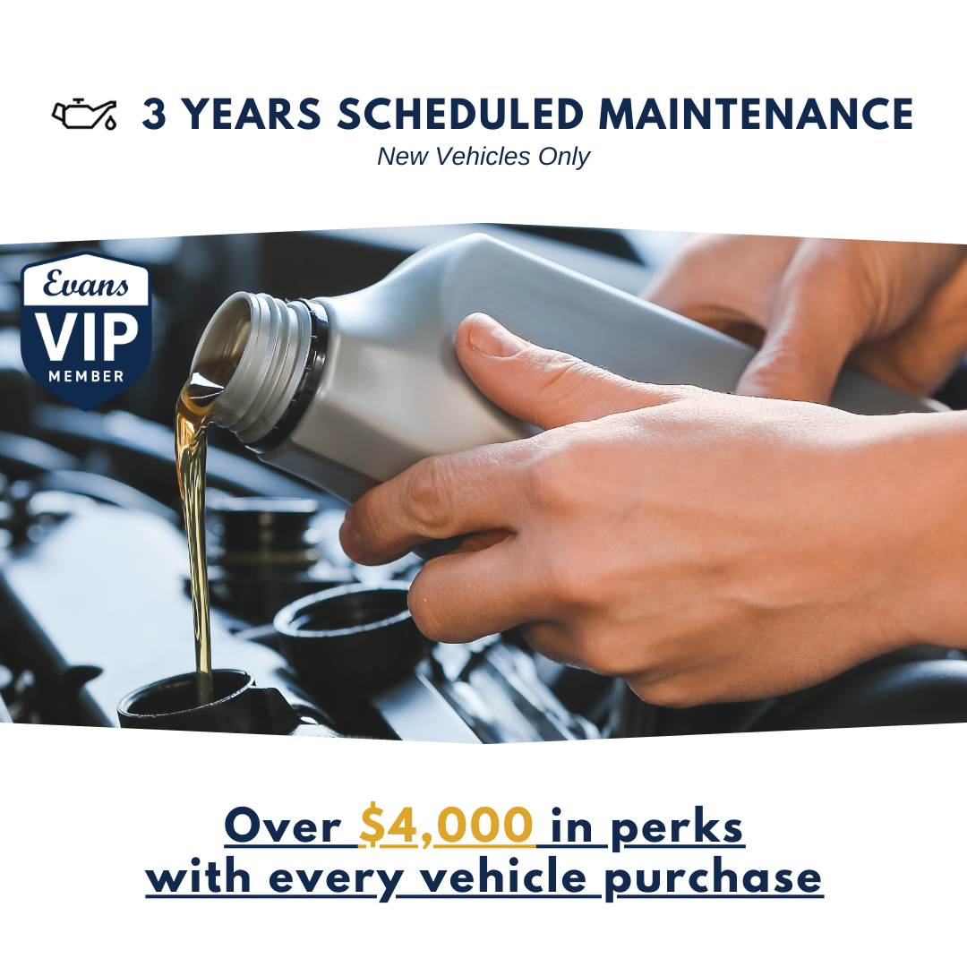 VIP Square - 3 Years Scheduled Maintenance.png