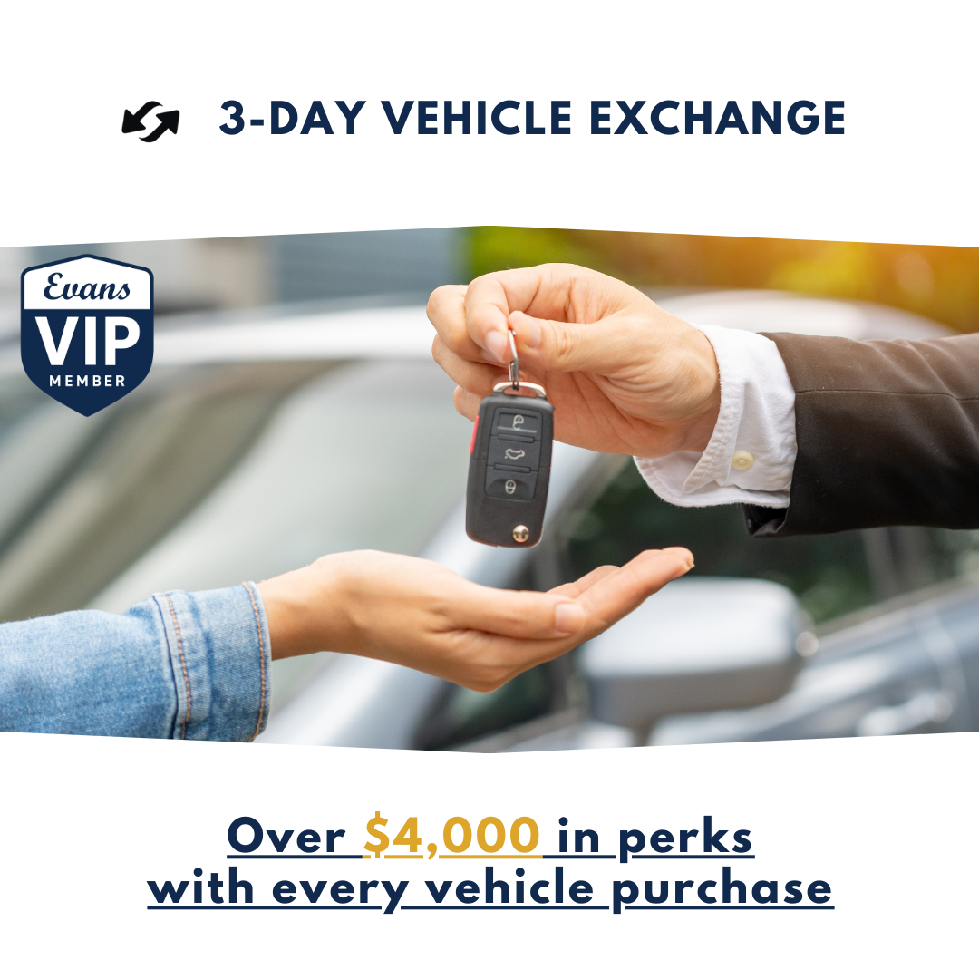 VIP Square - 3 Day Exchange.png