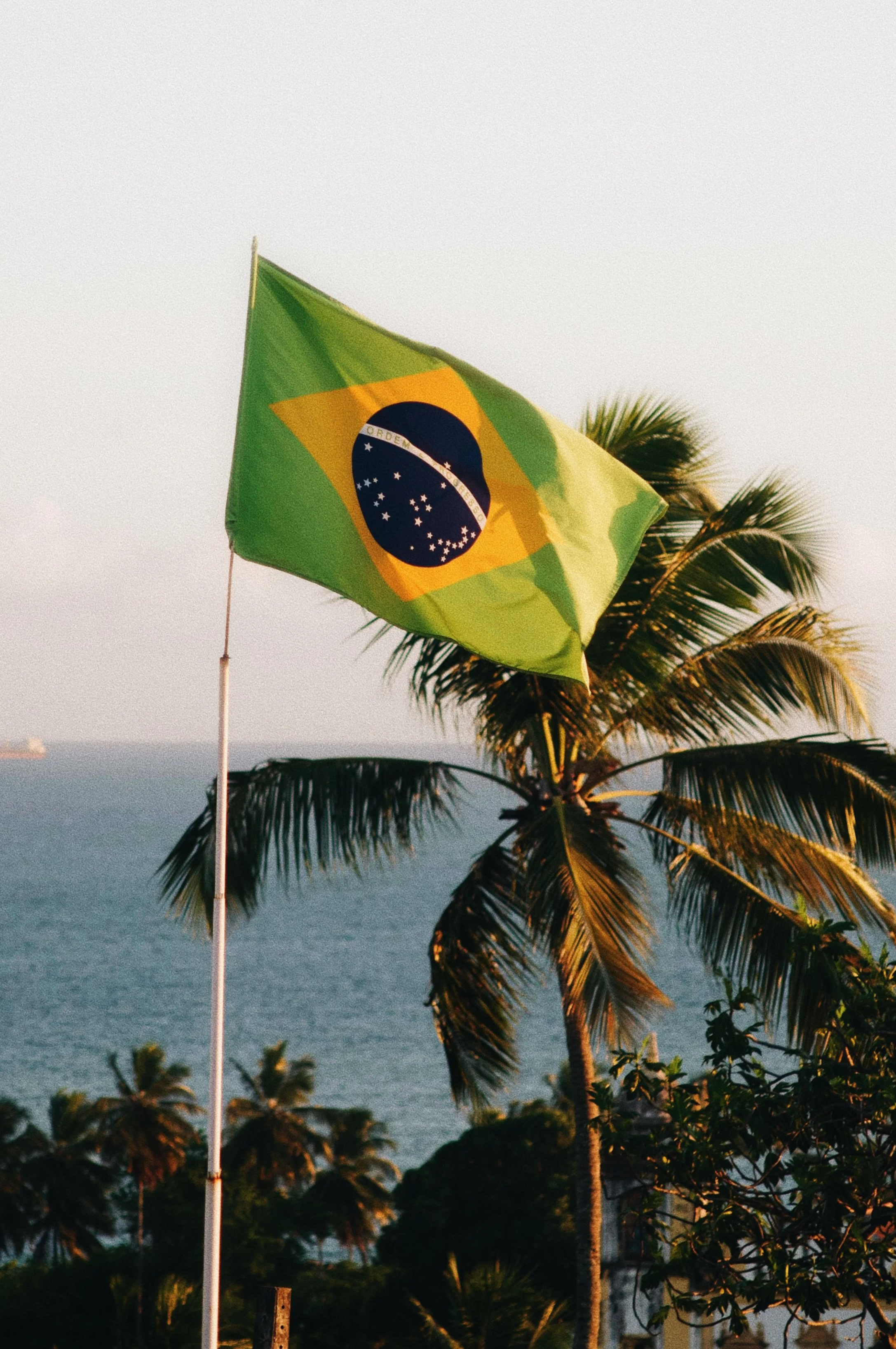 Brazilian flag flying on a pole near palm trees by the sea at sunset.