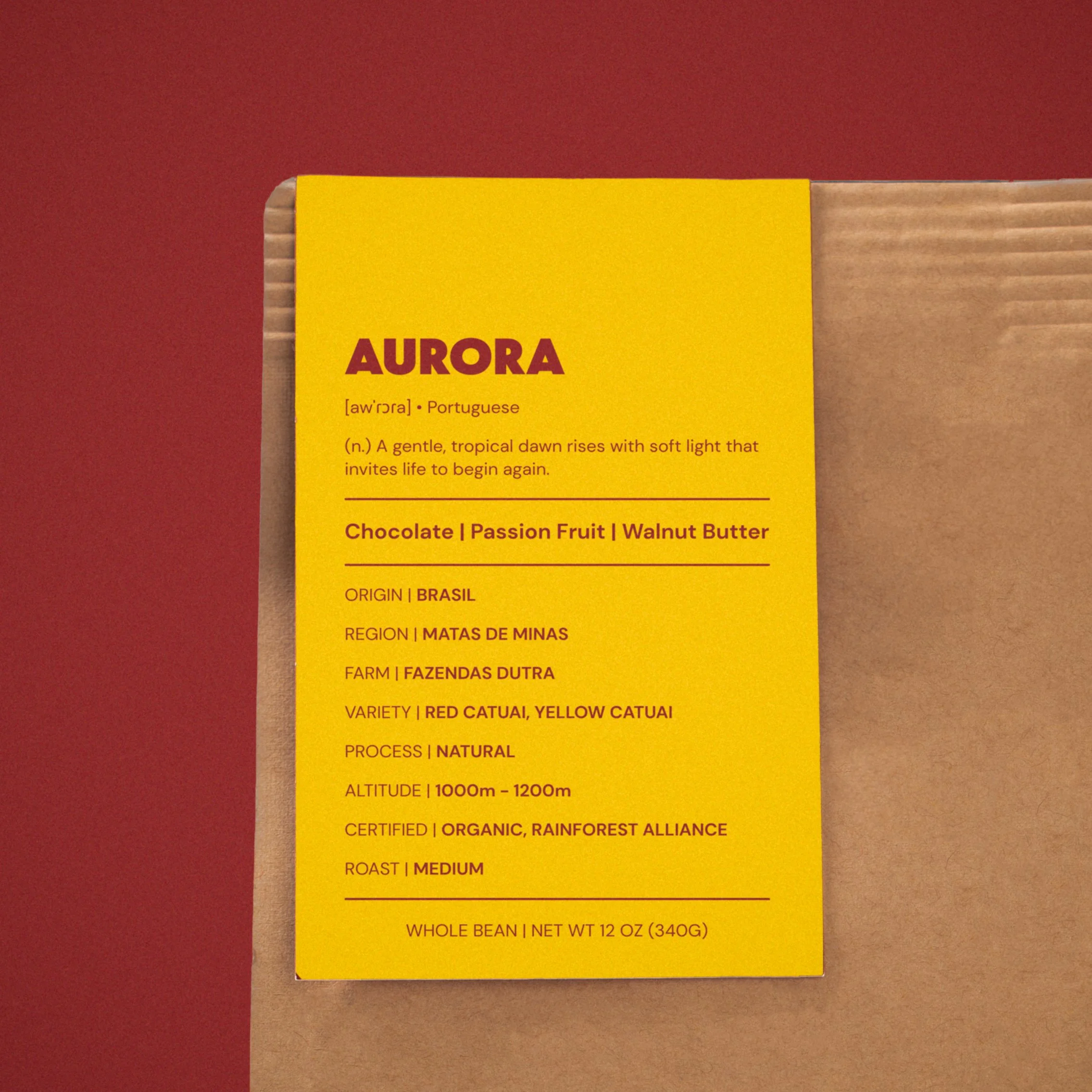 Bossa Bag close up-1-2.jpg