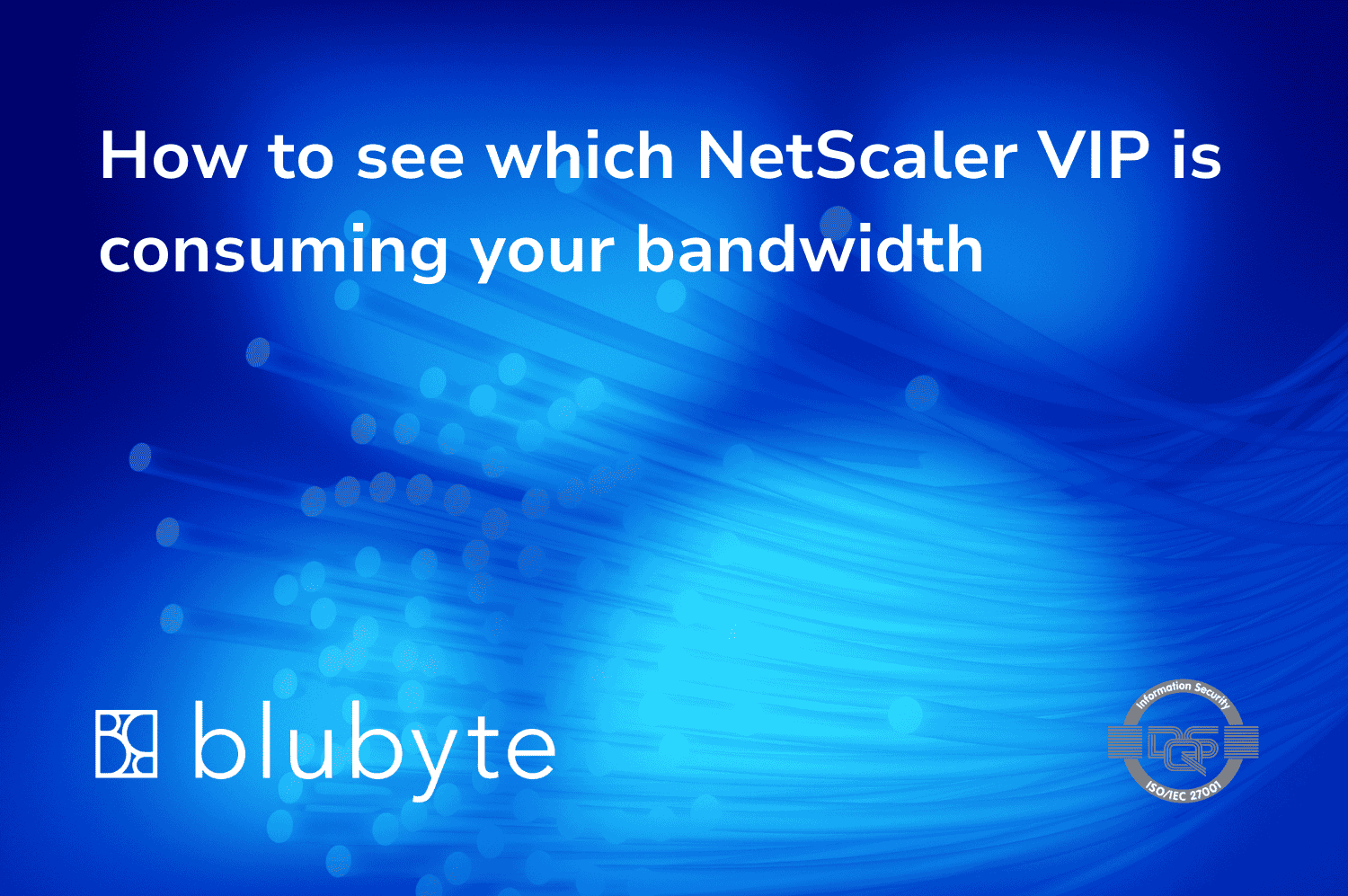 How to see which NetScaler VIP is consuming your bandwidth