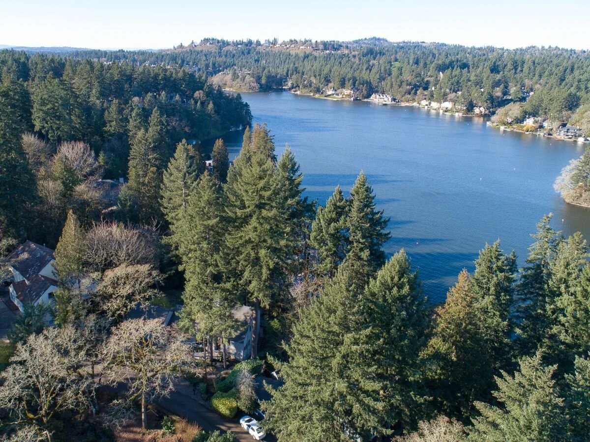Aerial view of a lake surrounded by a dense forest with trees and houses along the shoreline, under a clear blue sky.