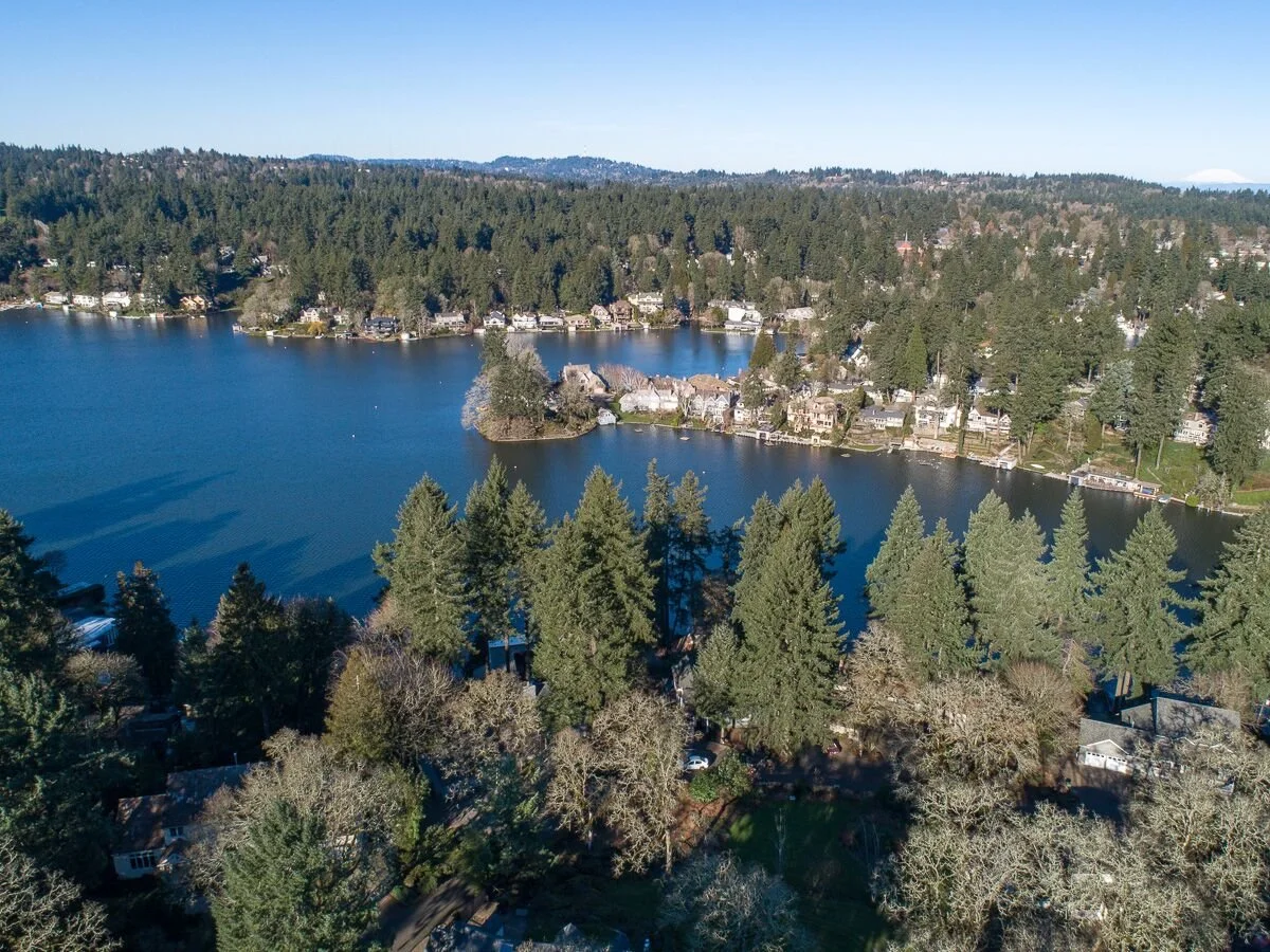 Aerial view of a lake with houses and trees around it, surrounded by a forested hillside under a clear blue sky.