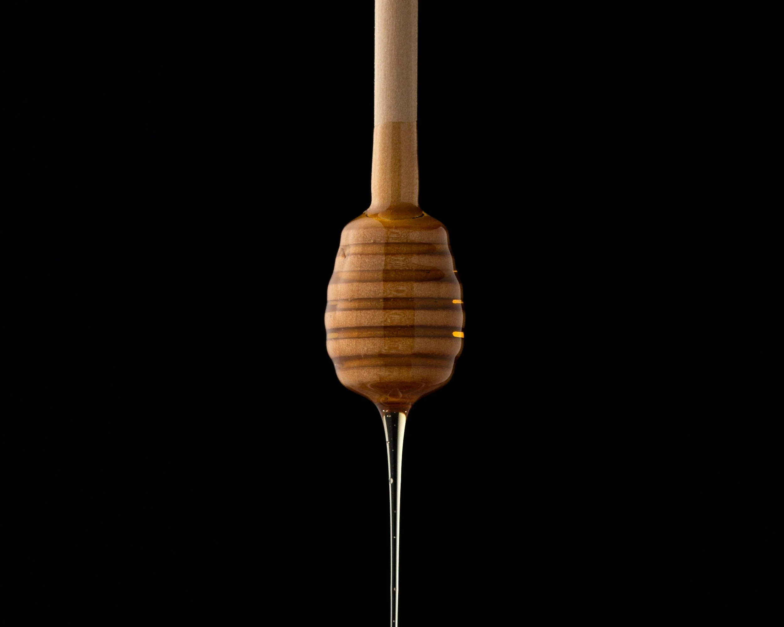 Honey Extraction Event