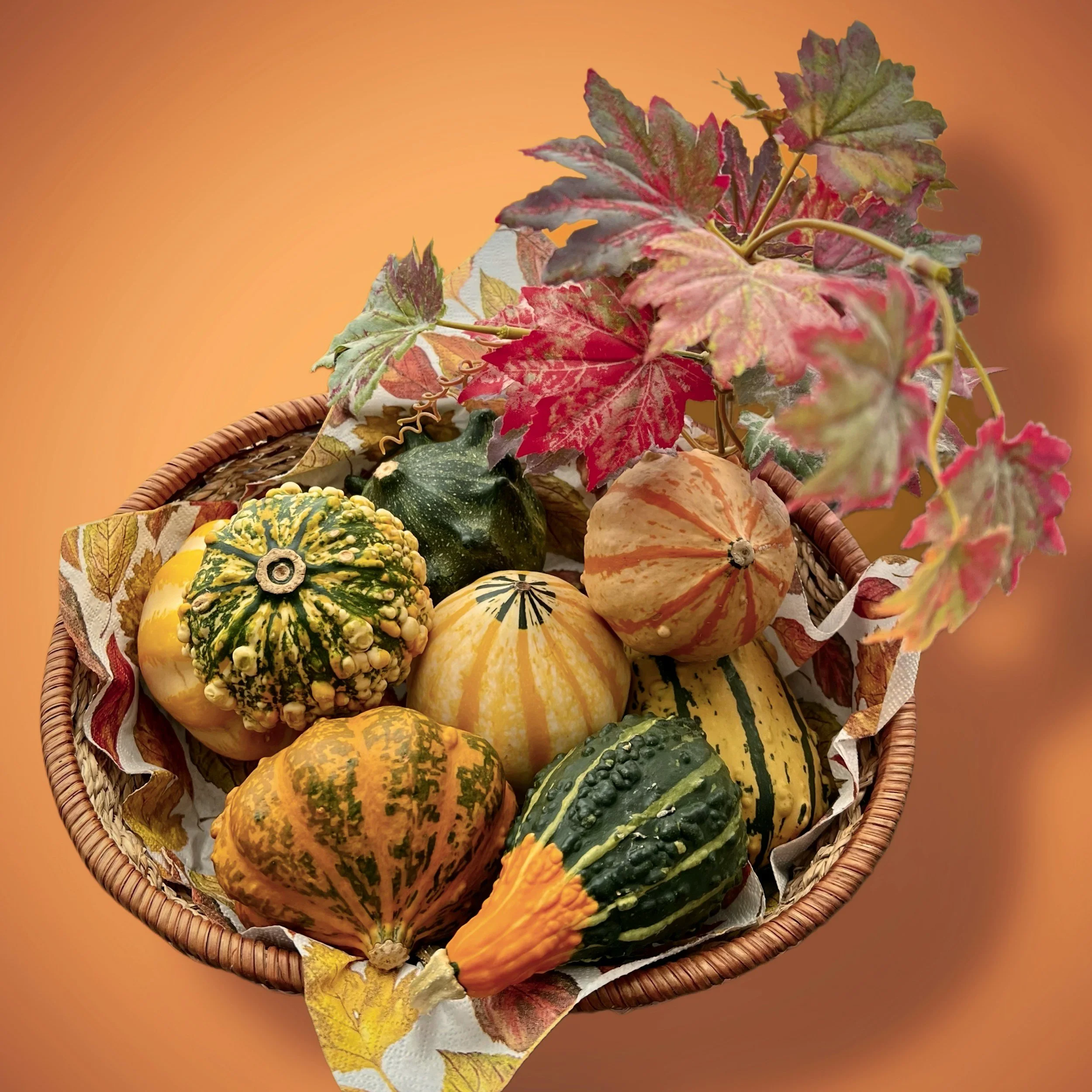 Autumn Equinox Community Potluck BBQ