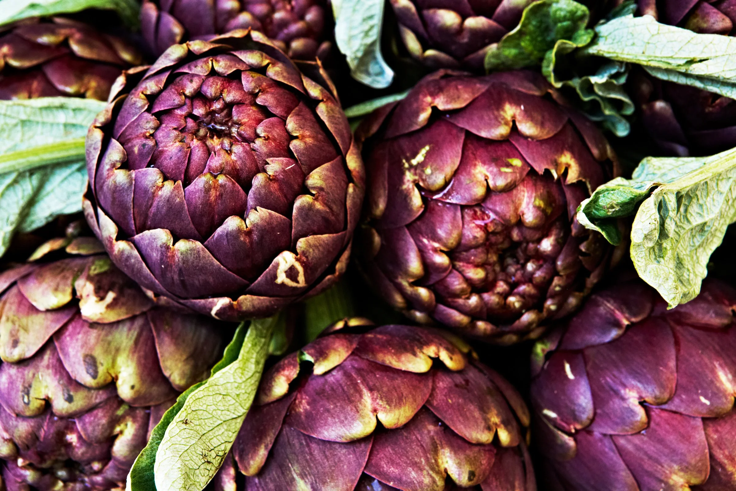 Campo de' Fiori — Rome