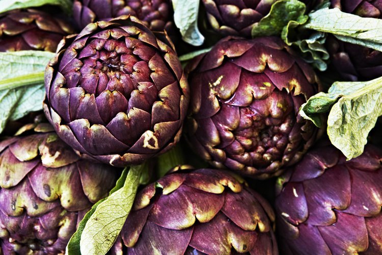 Artichokes_FINAL.jpg