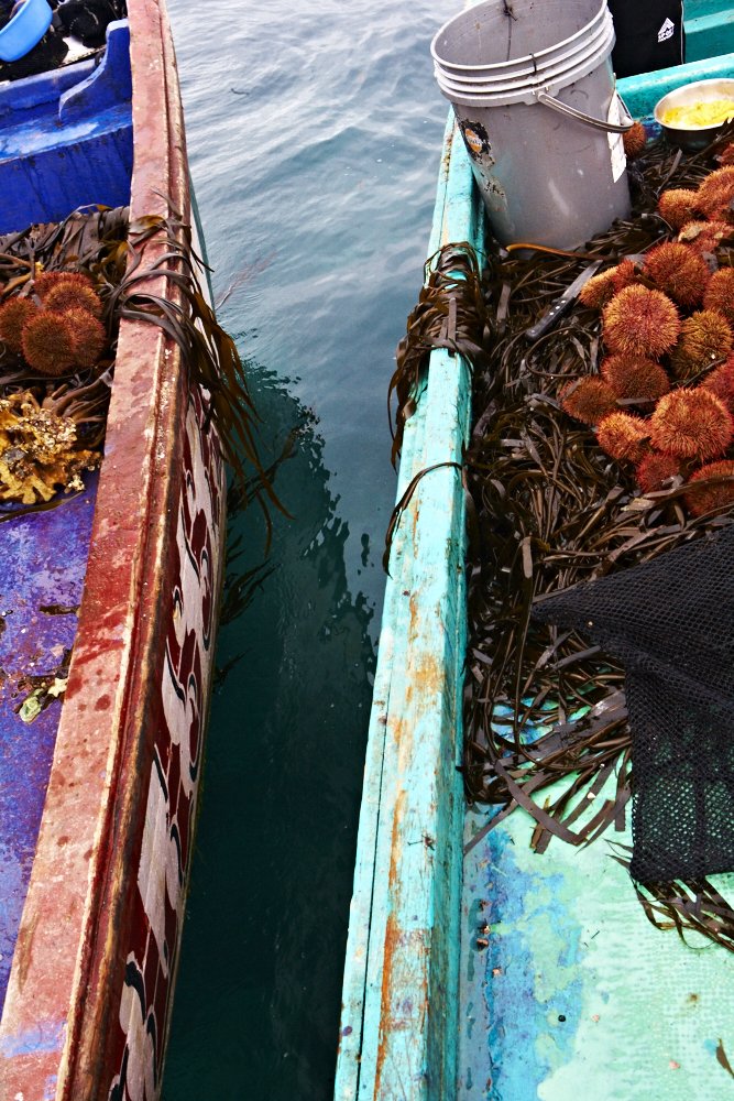 fishing_boat_186.jpg