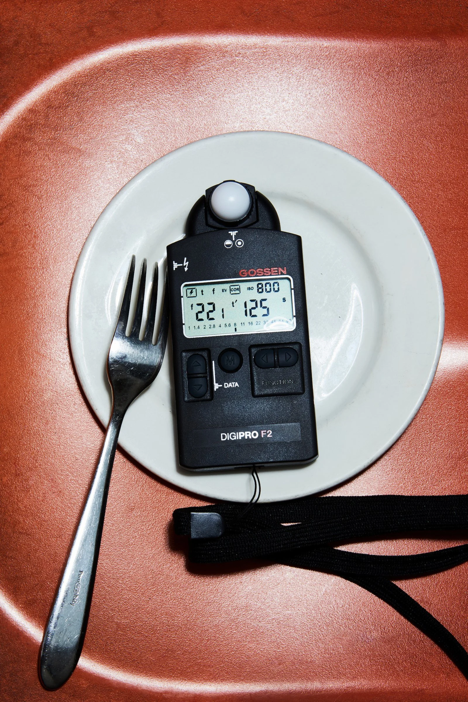 DPWYDNYCLightmeter_RT.jpg