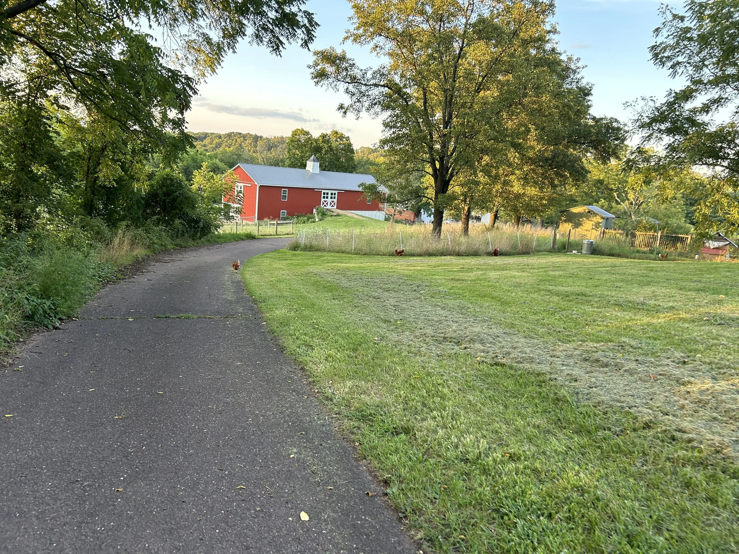 First Fruits Farm