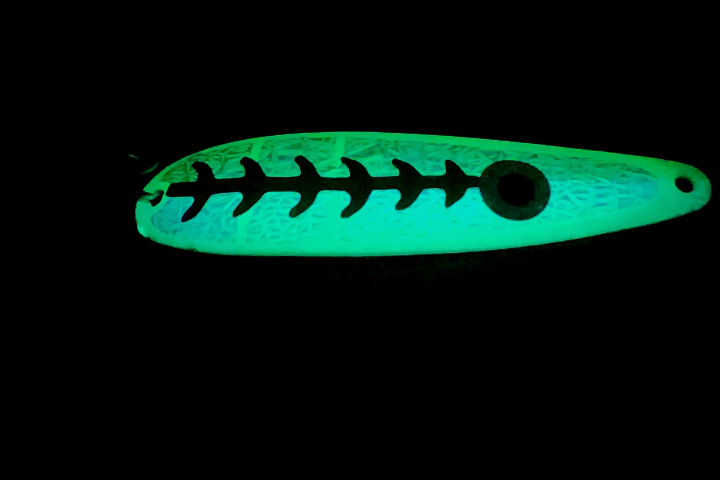 20260611_121312.jpg
