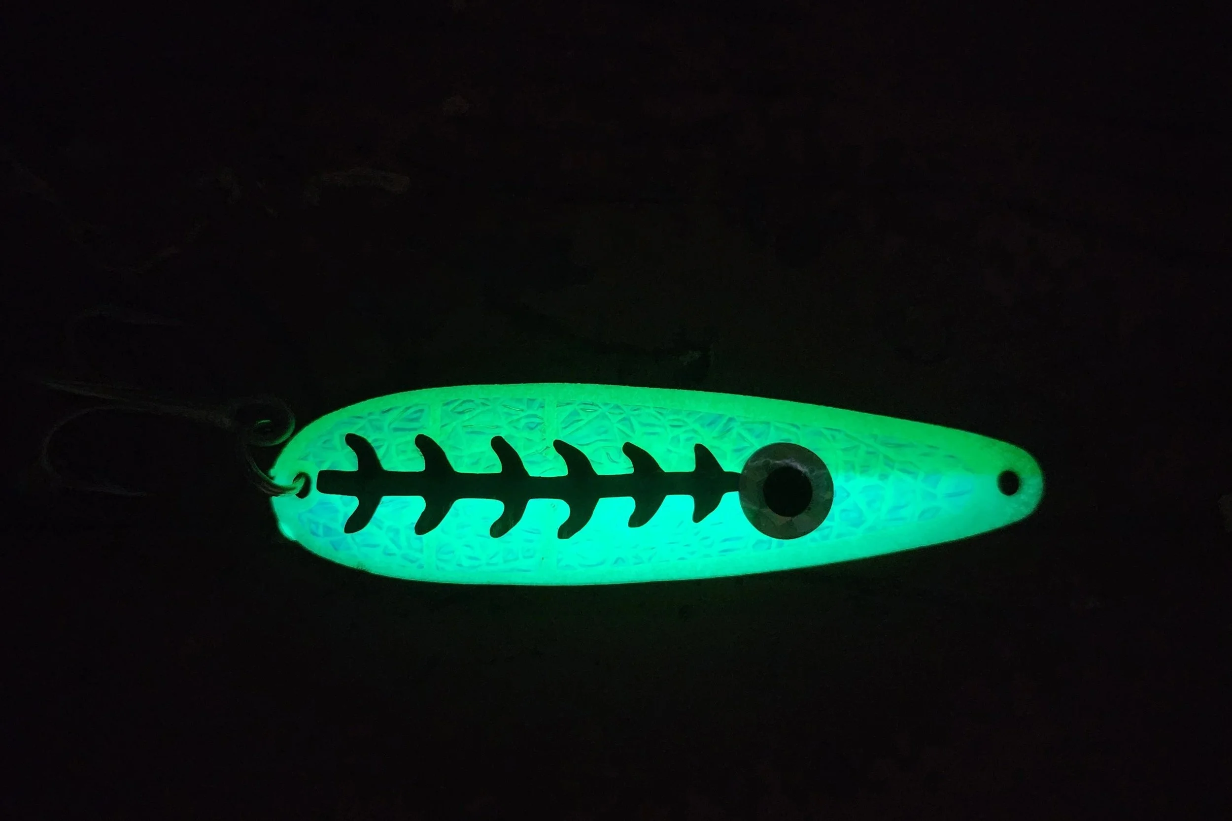 20260611_121315.jpg