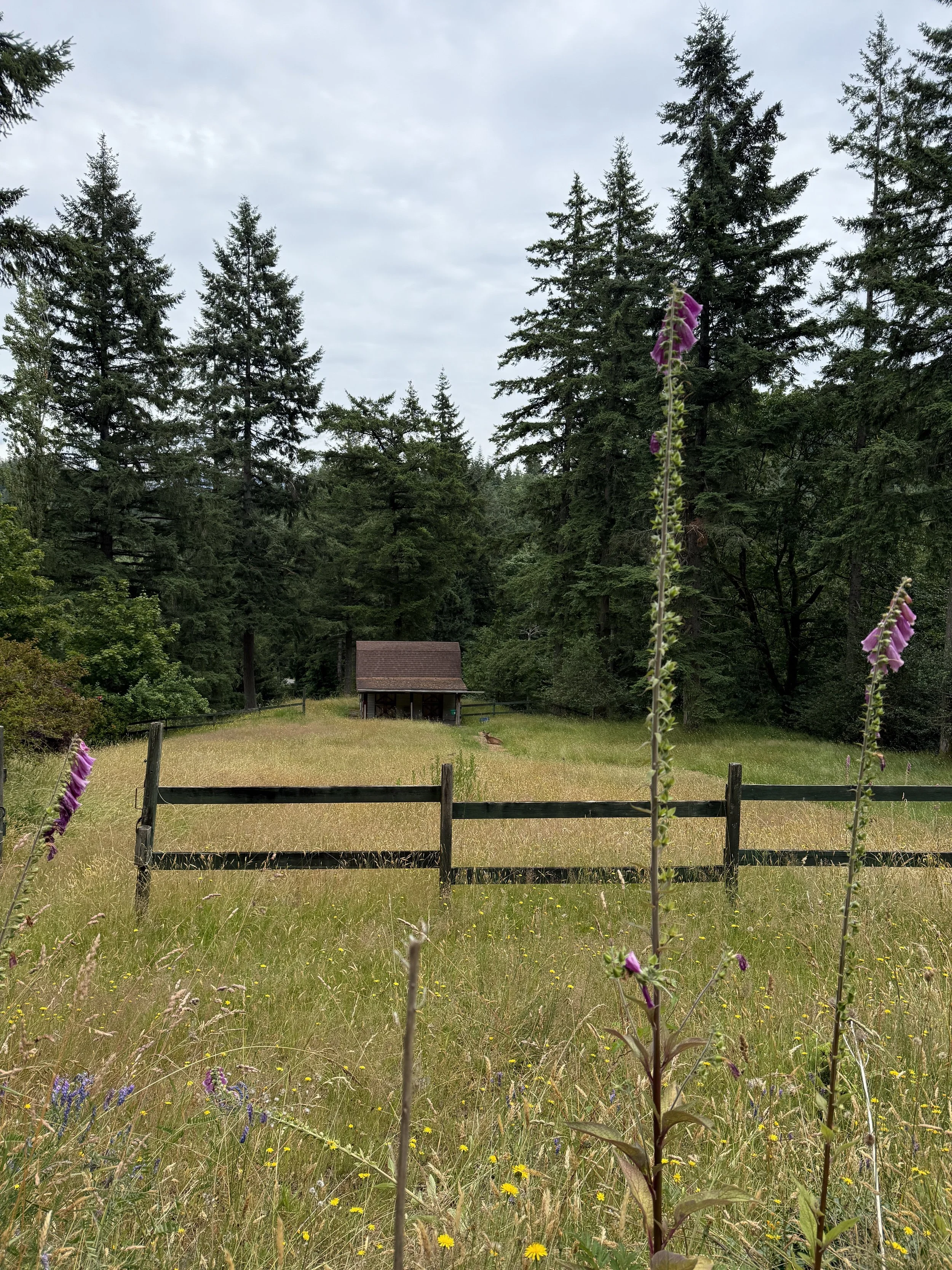 Monthly Boat Storage