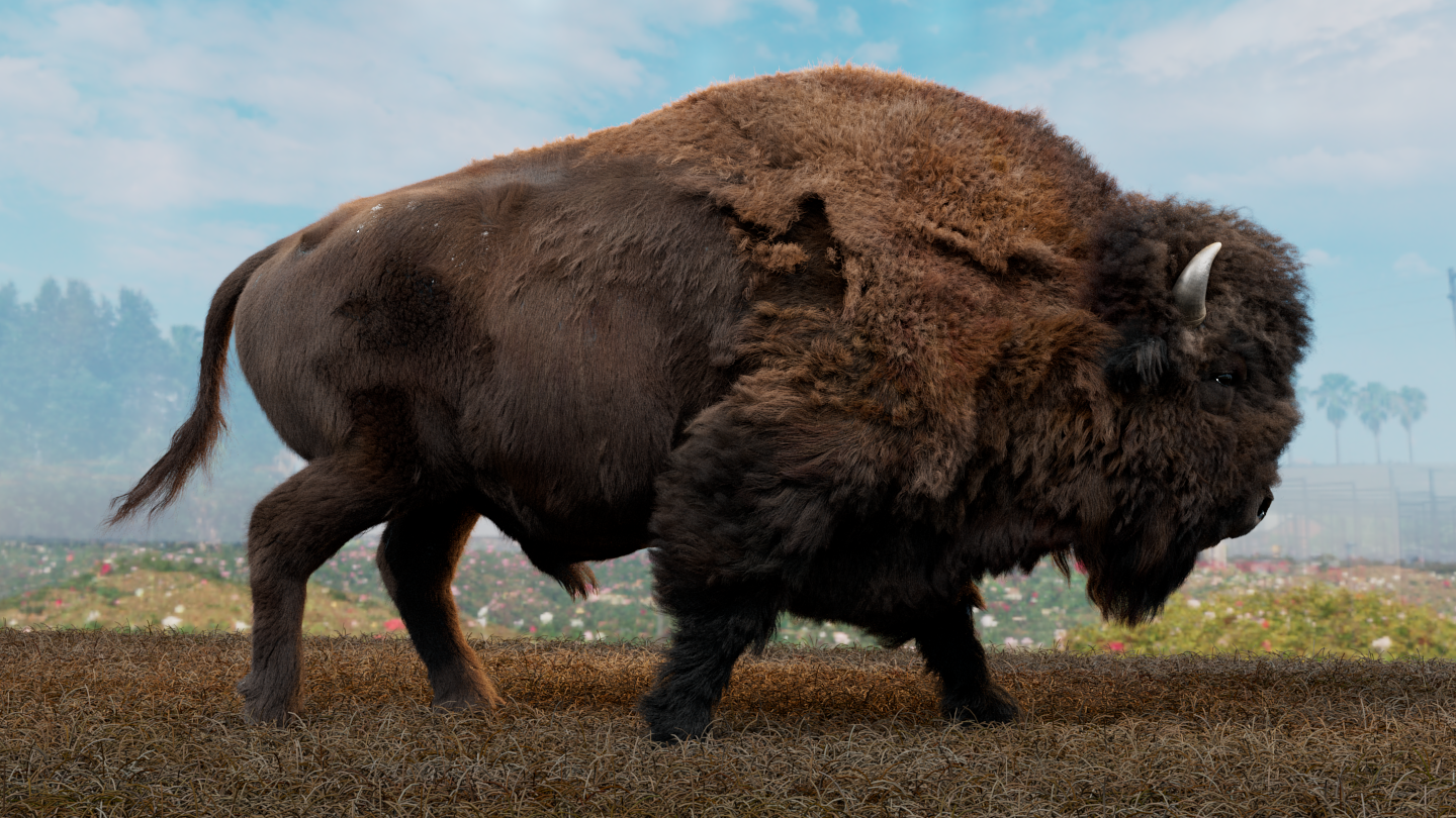 bison_cinematic_test_v001.0101.png
