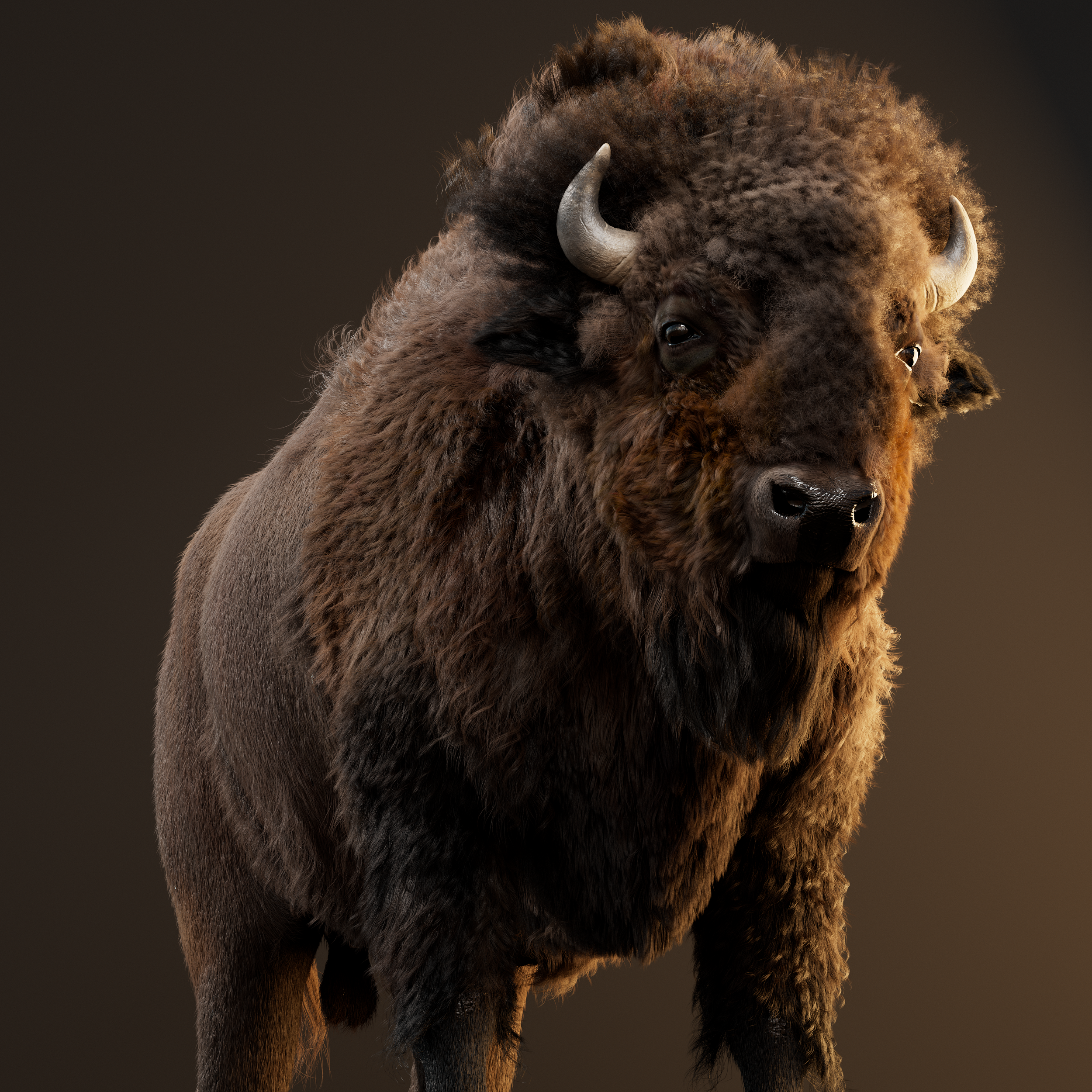 bison-test023.png