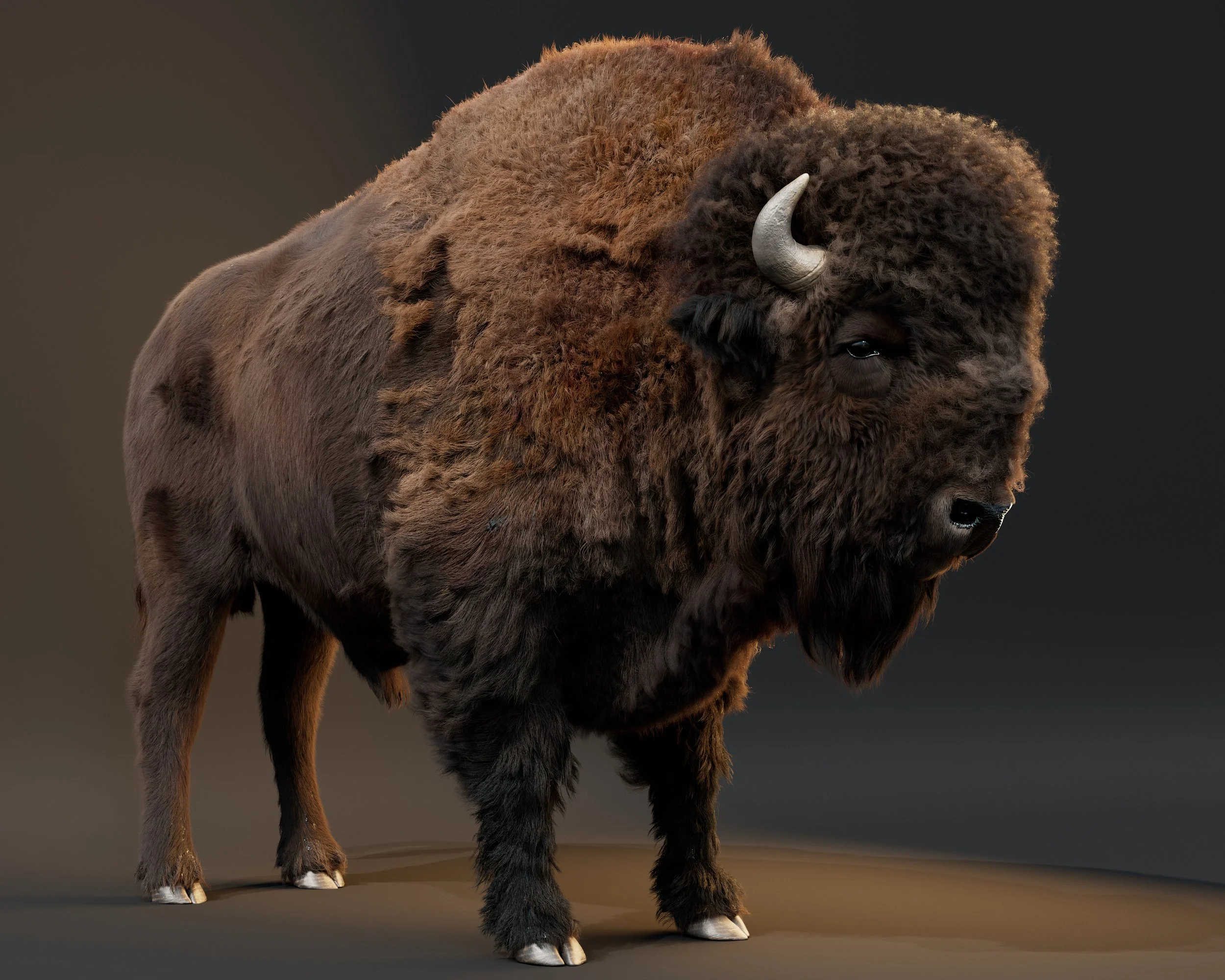 bison-test054.jpg
