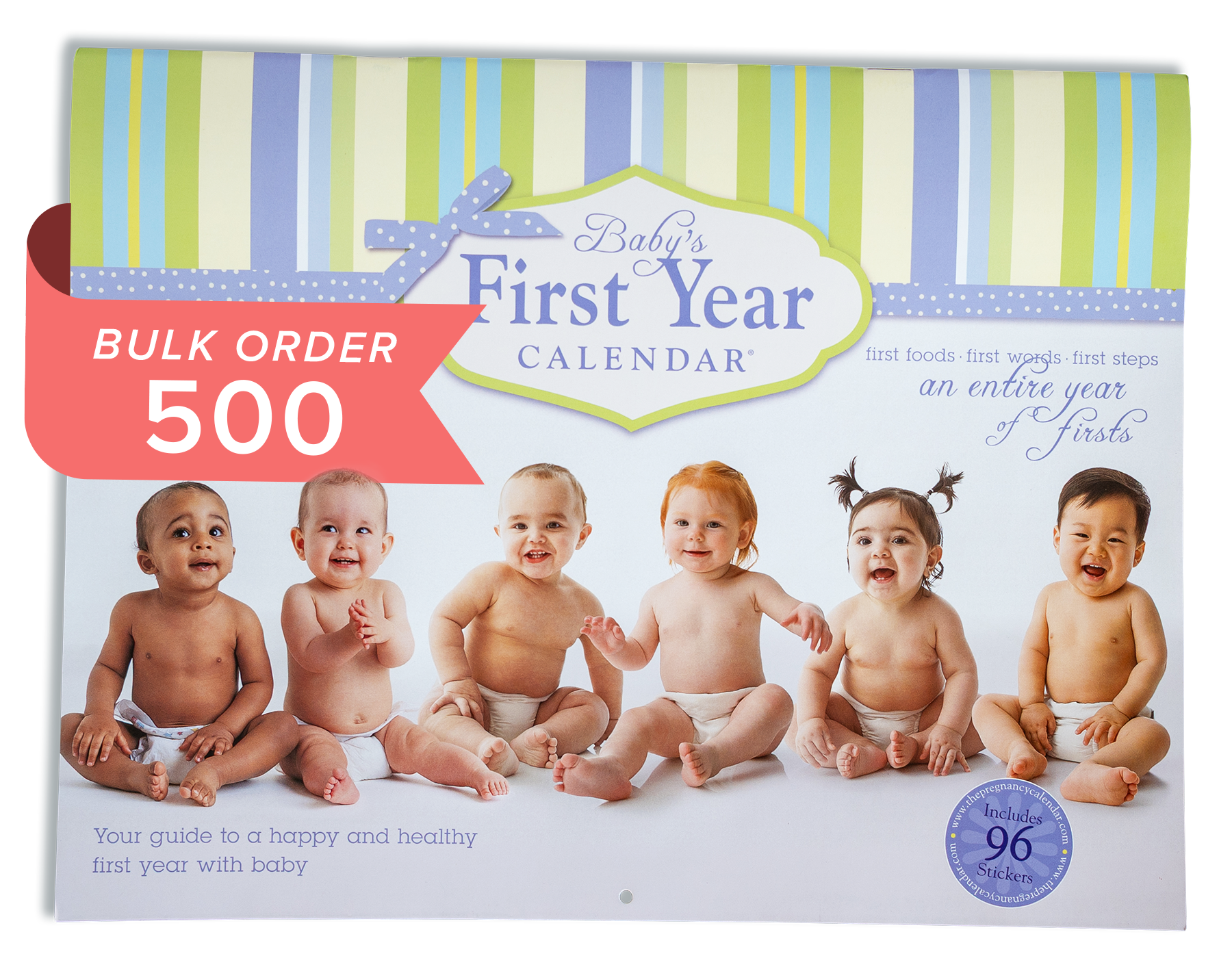 Baby's First Year Bulk Order (500)