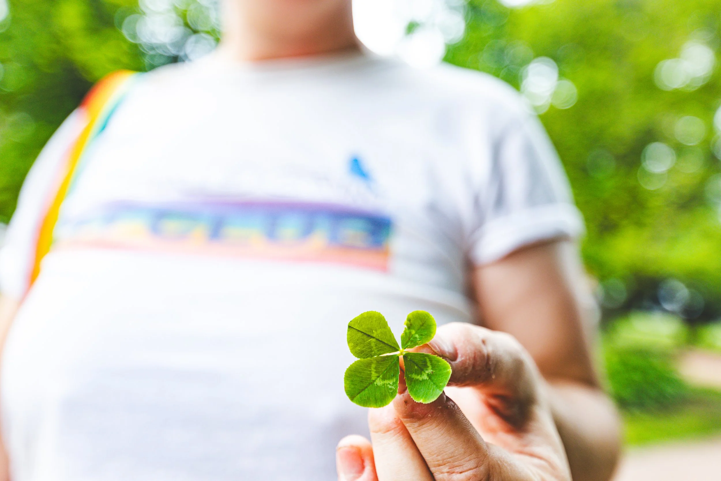 Person holding a four-leaf clover outdoors with greenery in the background.