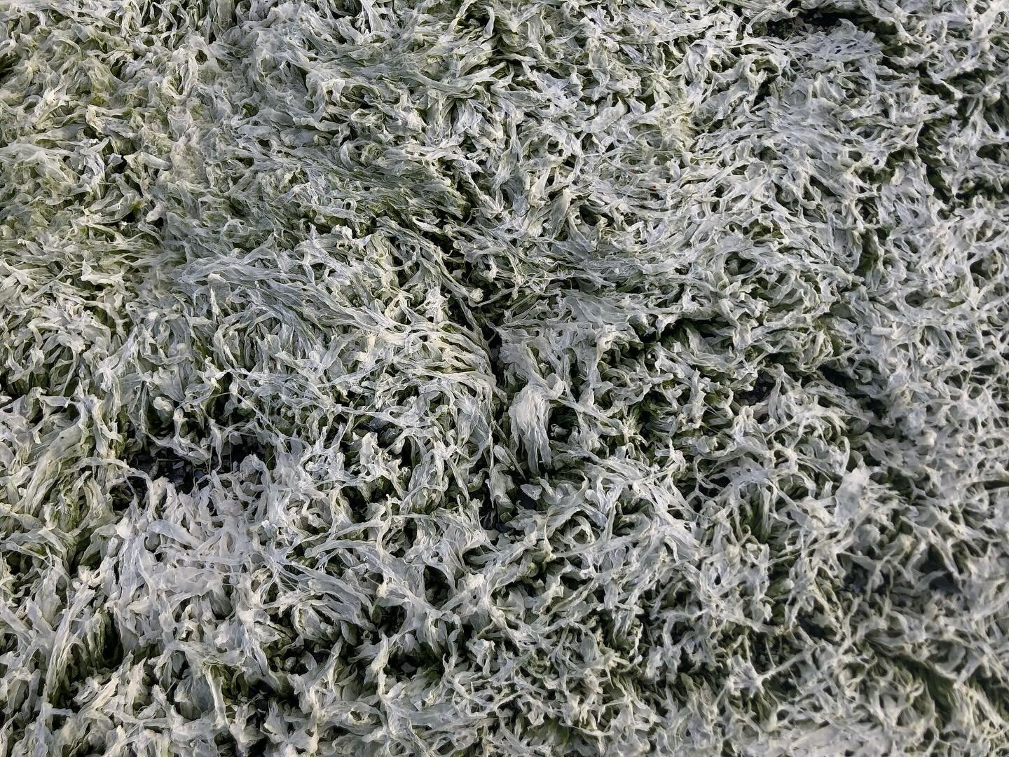 Some beautiful textures and colours I captured during my time living in the Aran Islands for my internship @inis_meain knitting company.