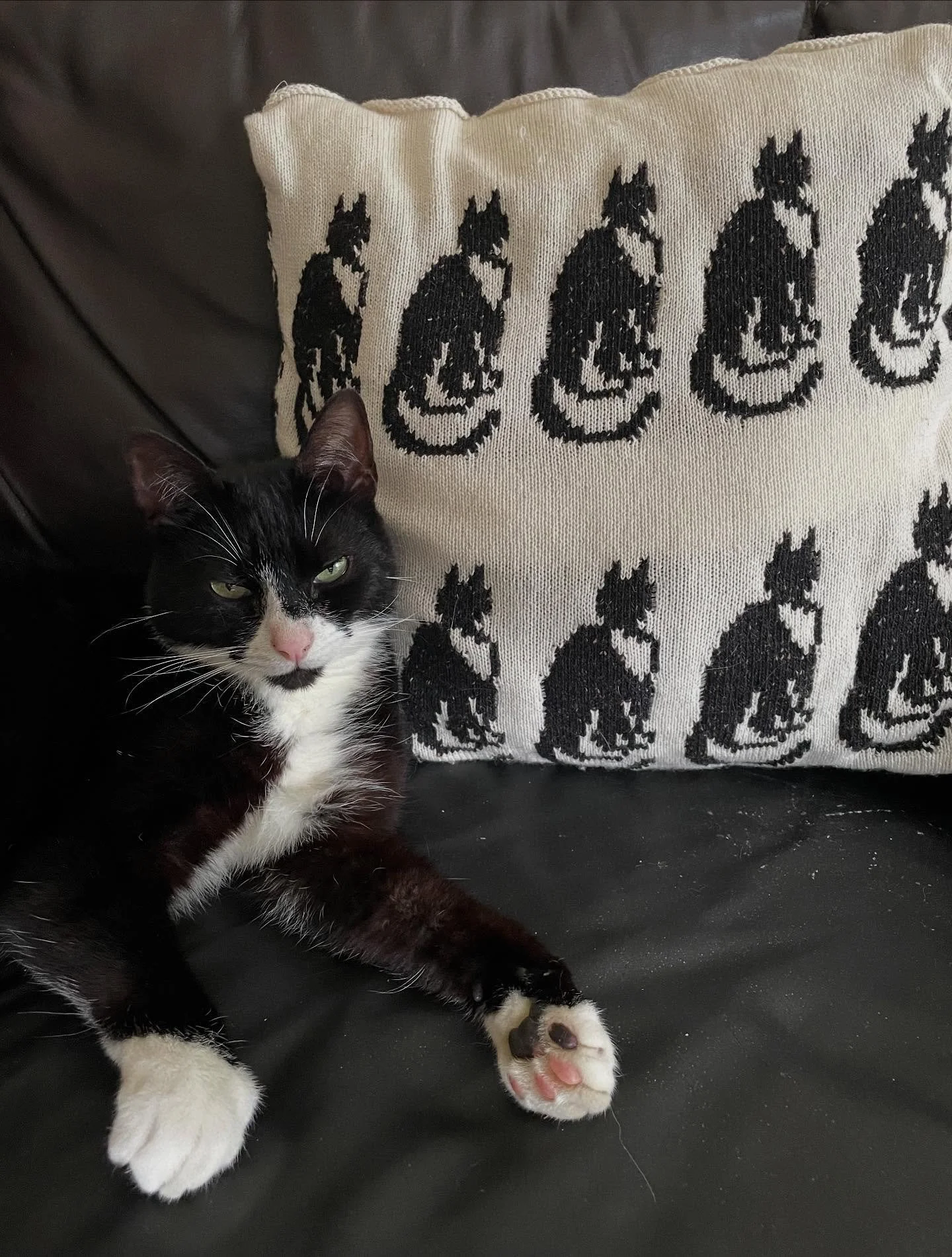 Summer is over! And so is my wee hiatus from yarn. 

I decided to take a break during the summer after the business of the final year of my degree. It was so wonderful to dedicate some time to catching up with friends and family and now I&rsquo;m fee