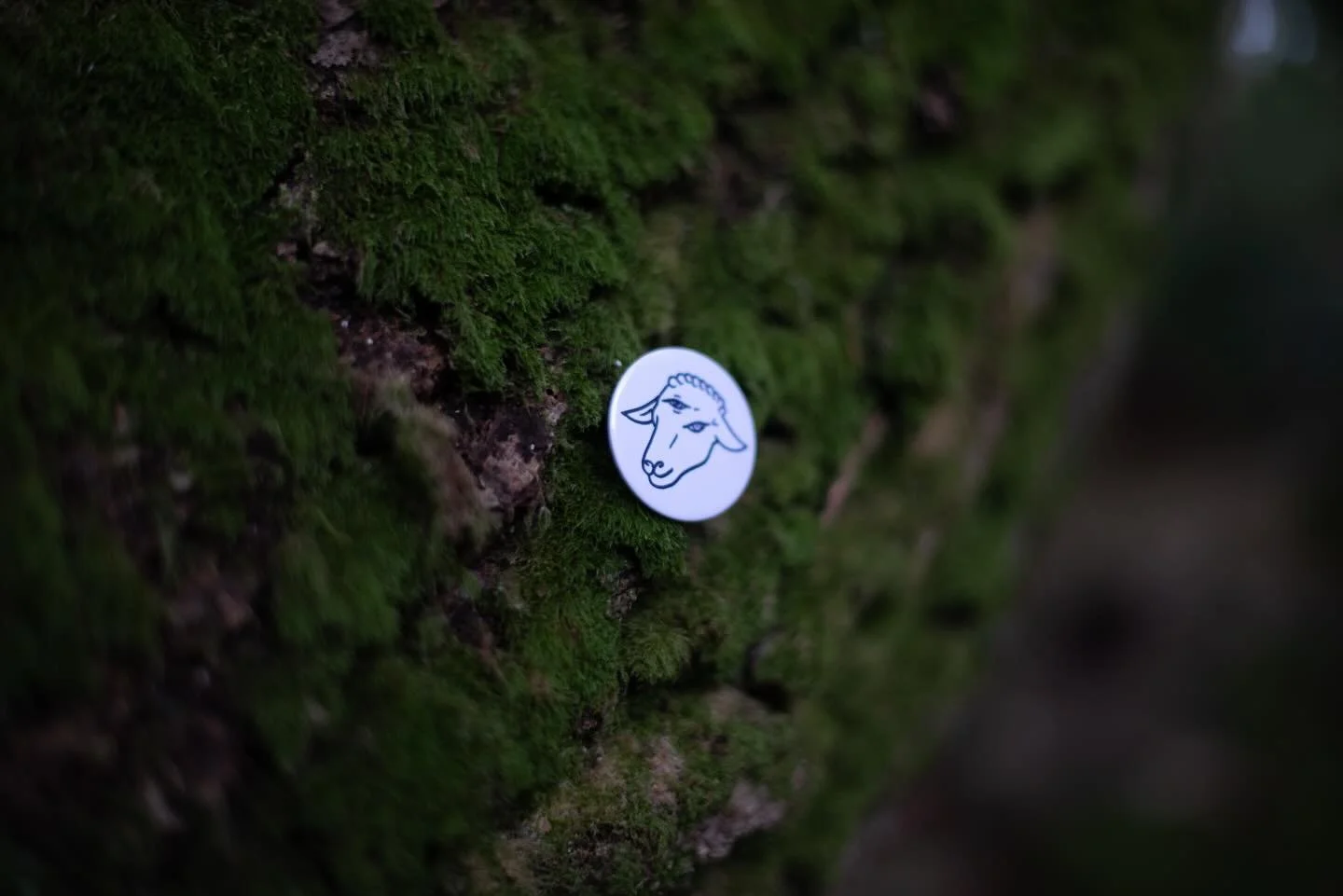 Website shop launching sooooonnn

woolcult.ie