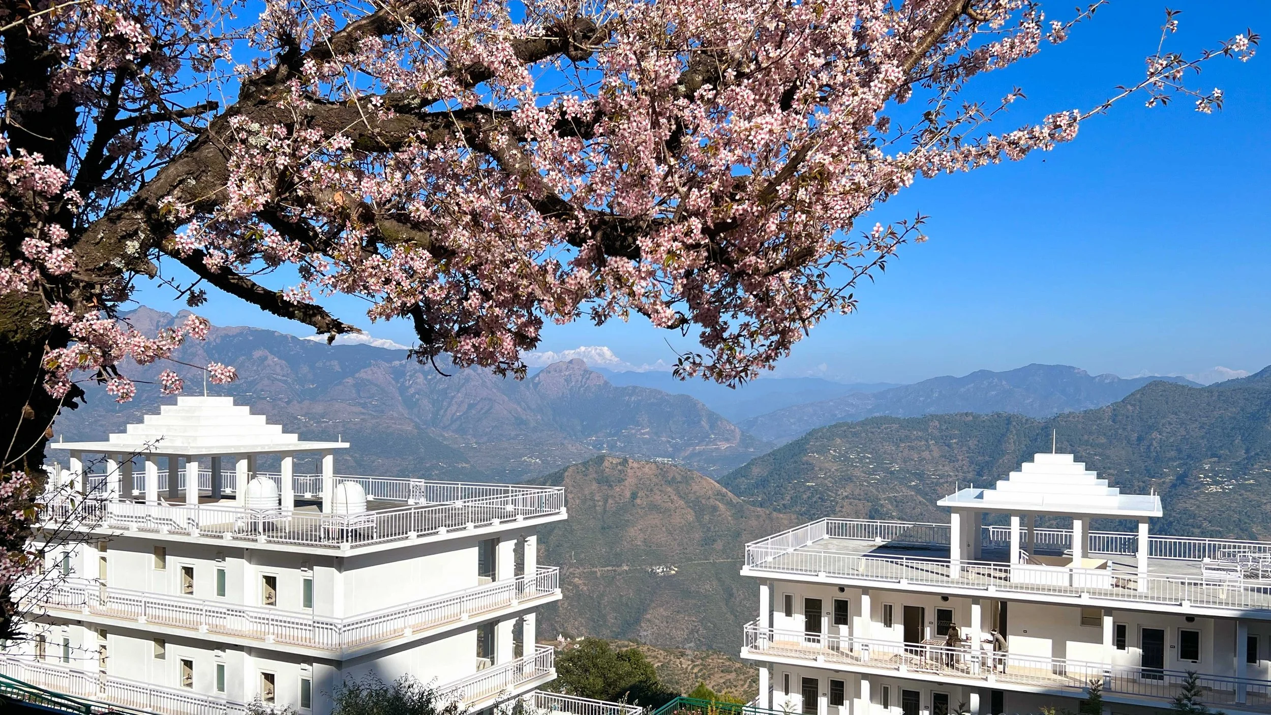 Himalayan-Heaven-kandi-india-mother-divine-66.jpg