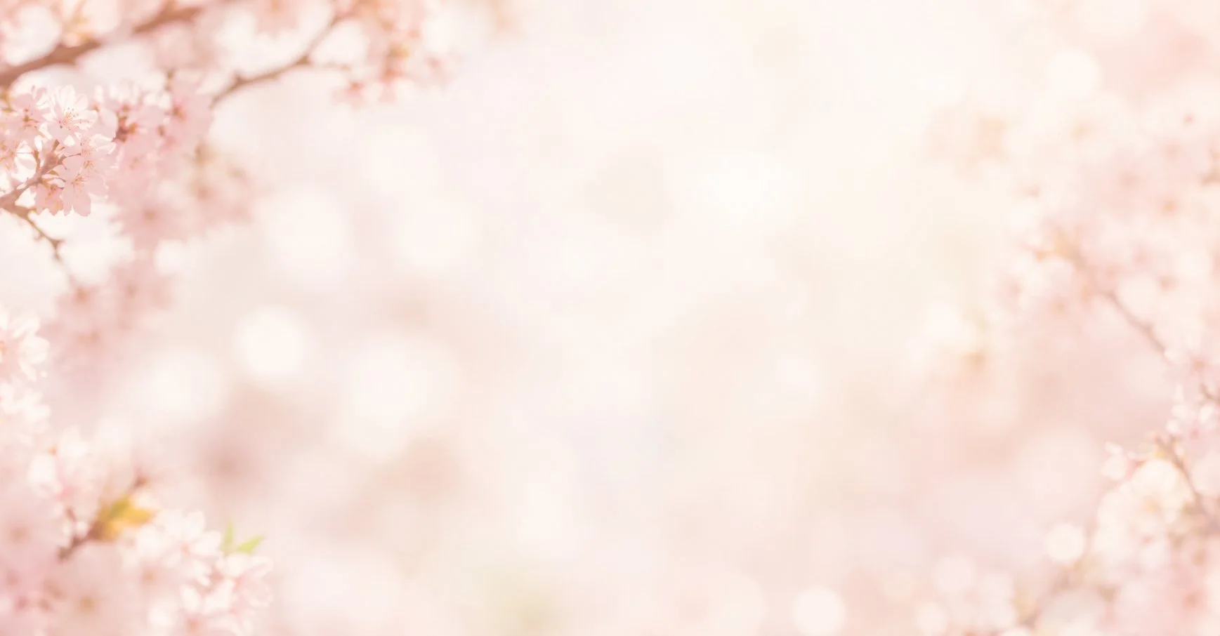 background-18.jpg